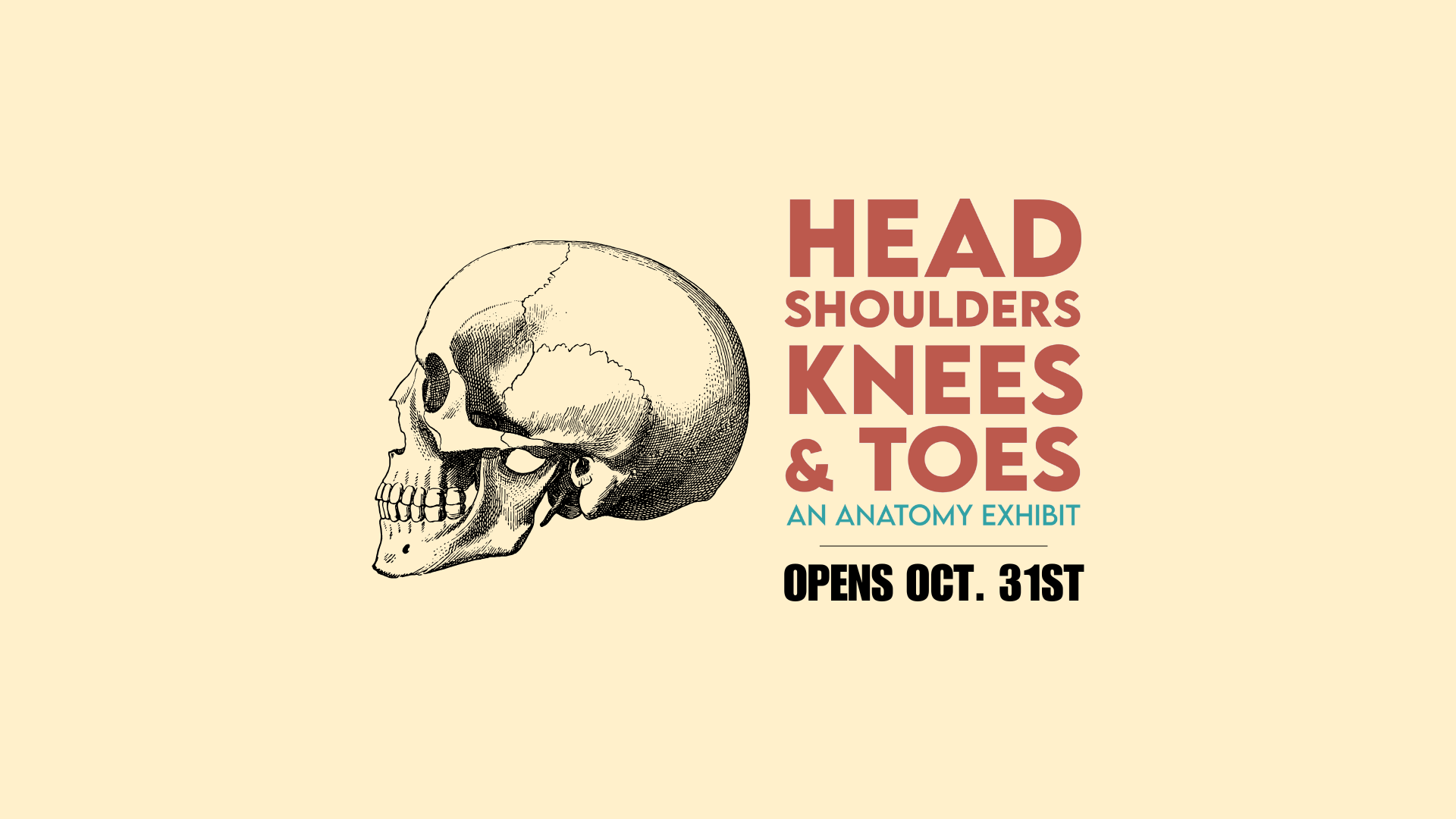 SciSatNov2024 (4).png