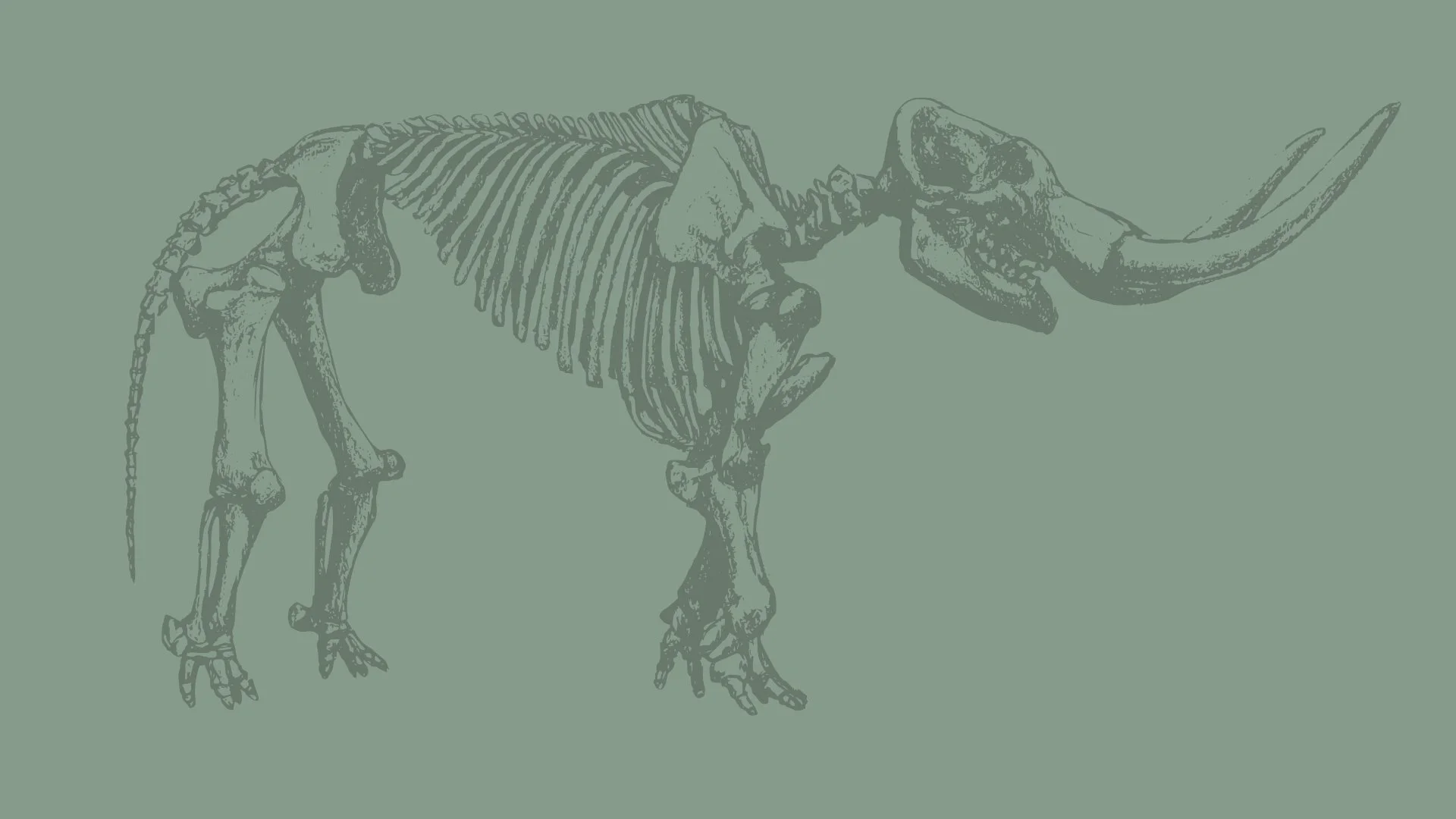 Inspired Collections