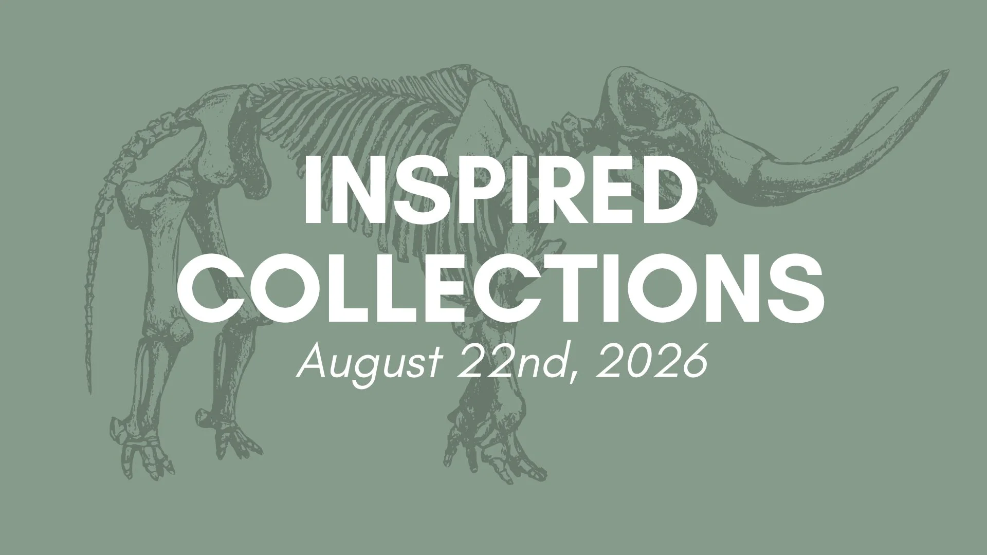 Inspired Collections Museum Draw-In