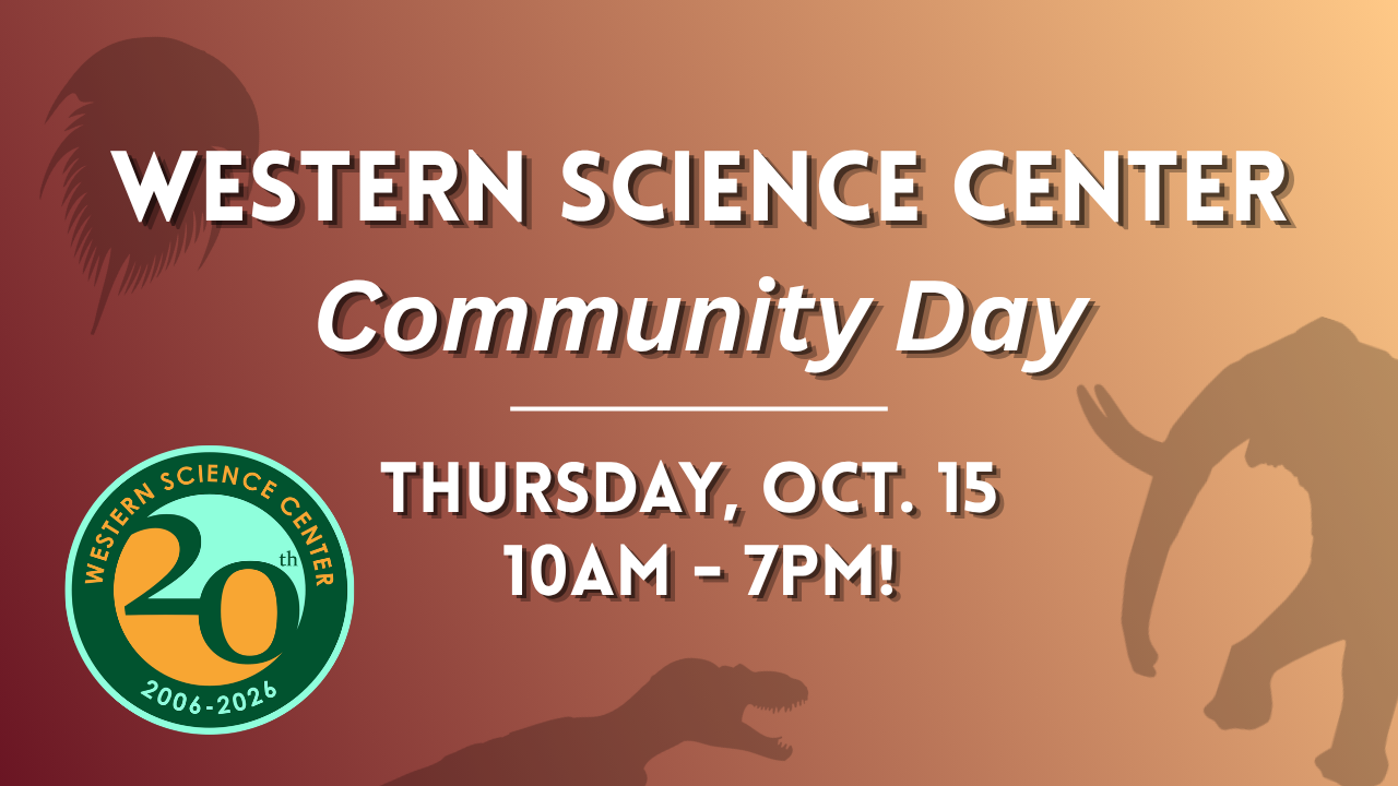 20th Anniversary Community Day