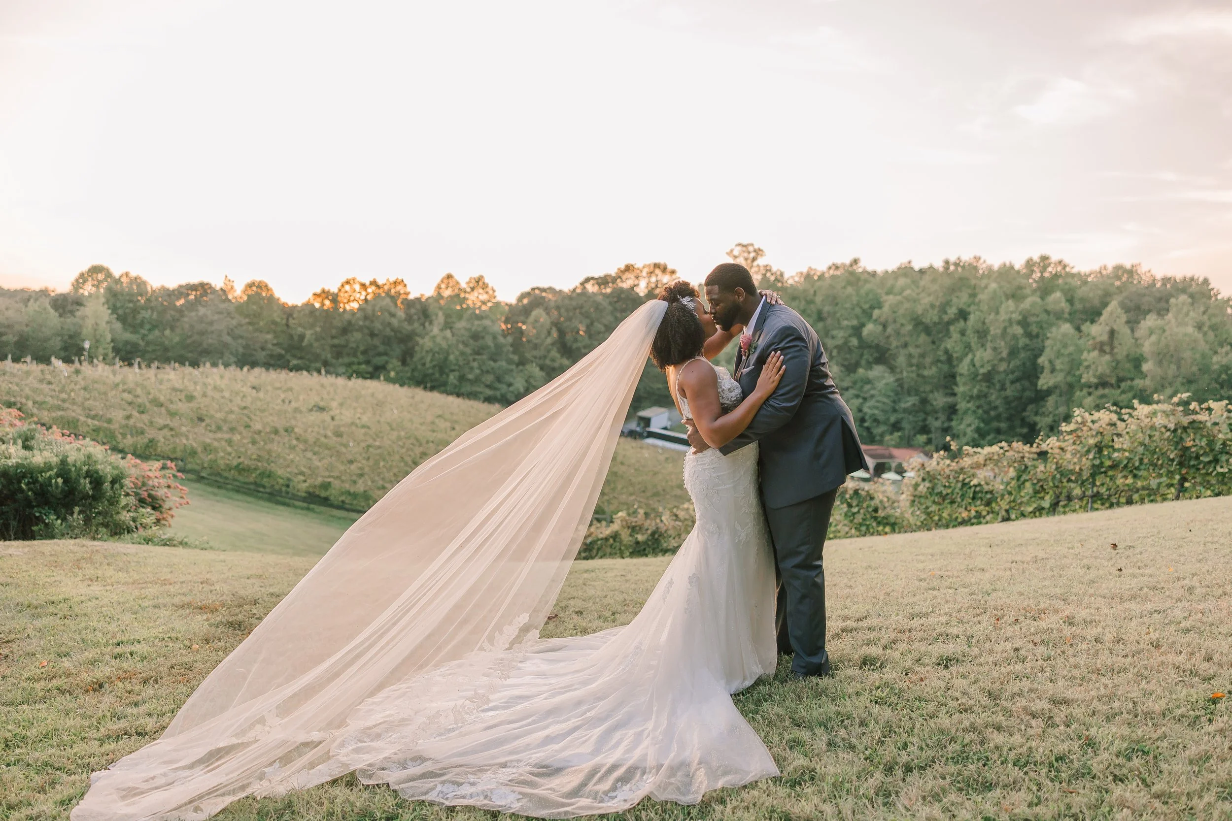 TAYLOR + CALVIN