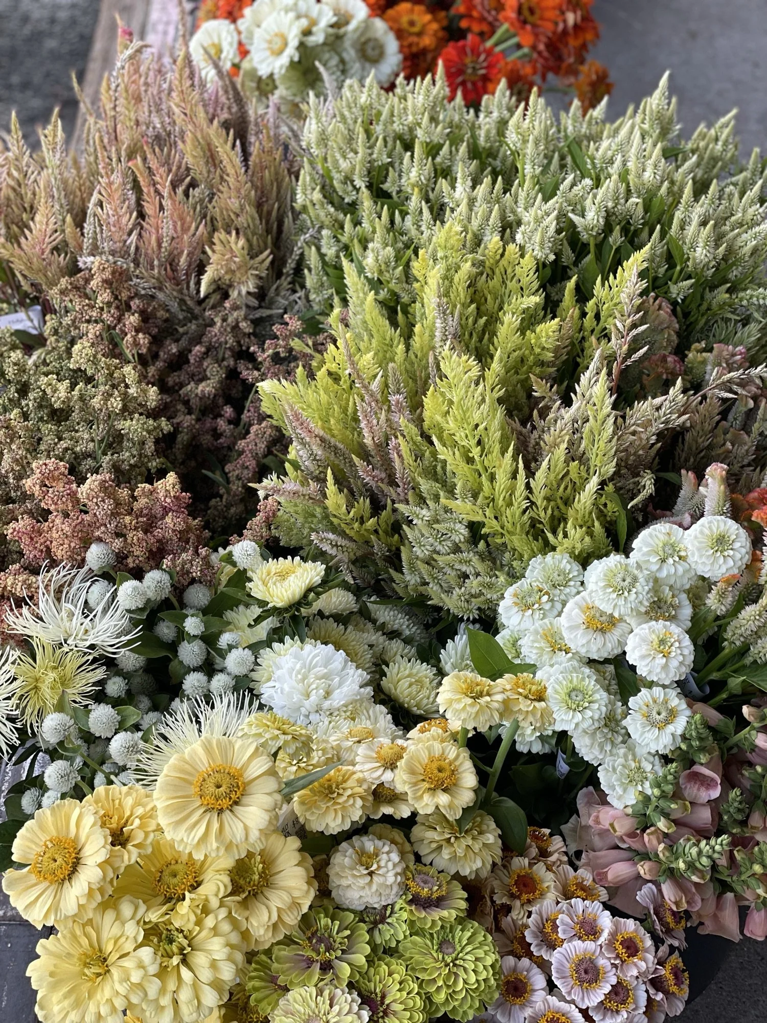 SUMMER CSA — Holly Hock Flower Farm