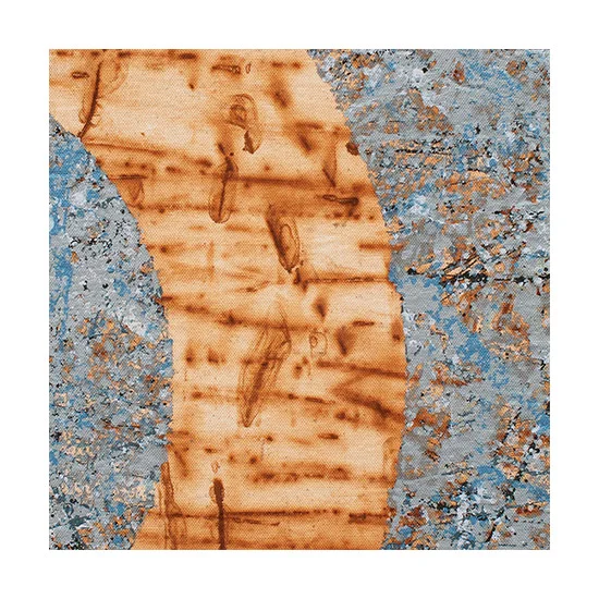 SQ9895846 Magnetic North Painting Artist Cassandra Tondro iron rusty metal Earth Plane