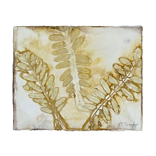 Cassandra Tondro Leaf Prints healing power of nature 100% cotton rag watercolor paper natural dye