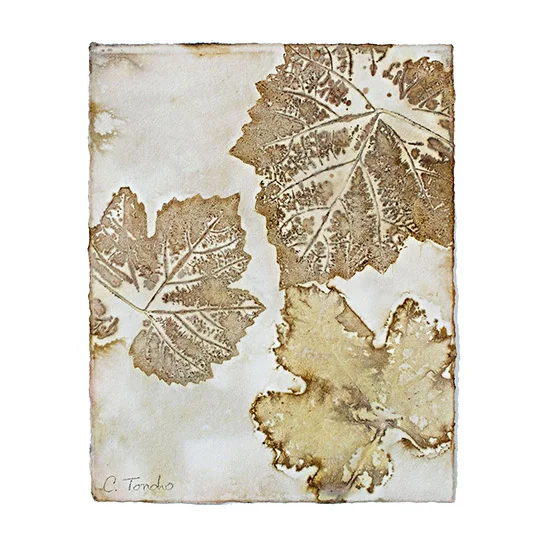 Cassandra Tondro Leaf Prints healing power of nature 100% cotton rag watercolor paper natural dye