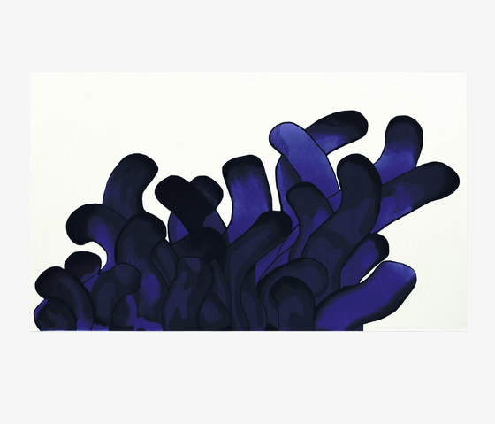 anemone-1-n-b.jpg
