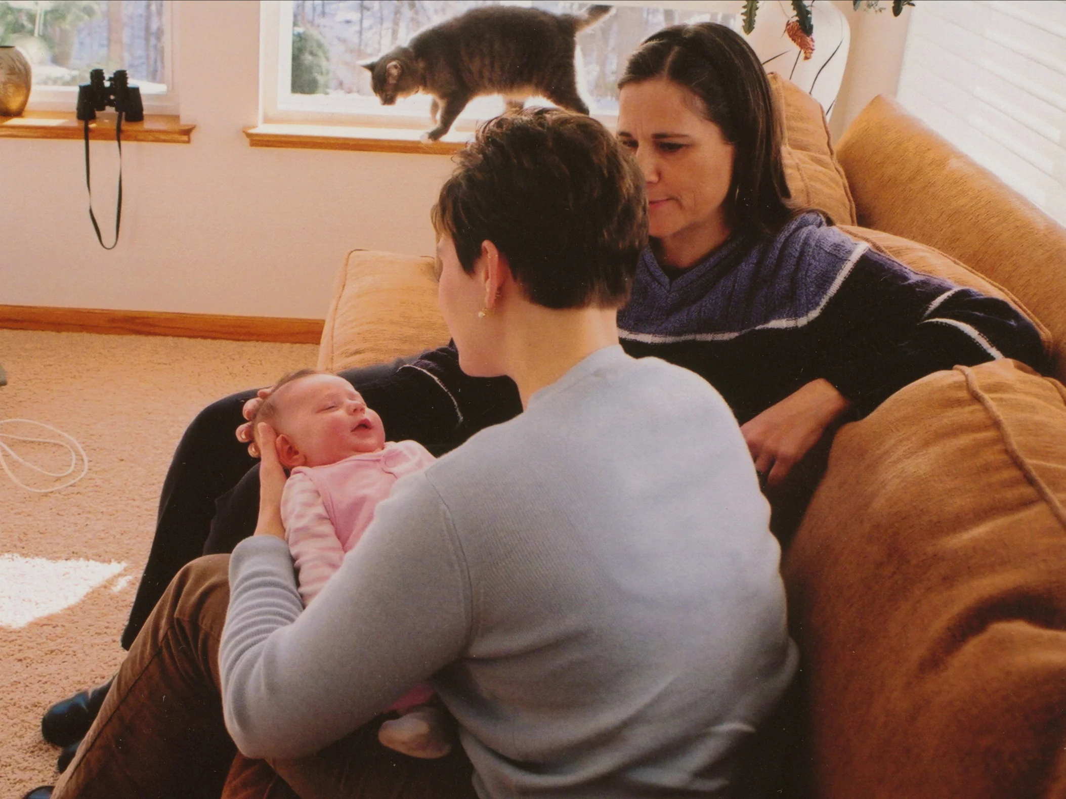 IPH+-+Services+Taylor+and+Mom+3+with+cat.jpg