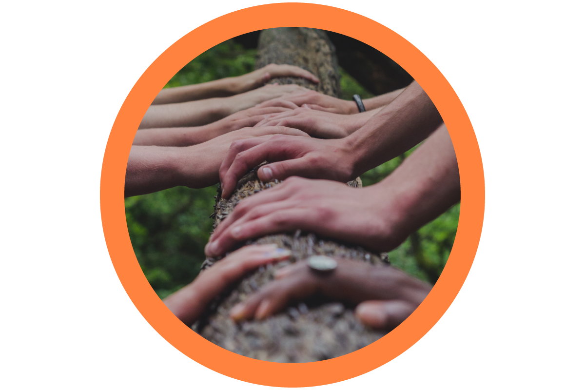TREEHANDS1.png