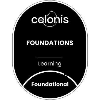 Celonis Partner