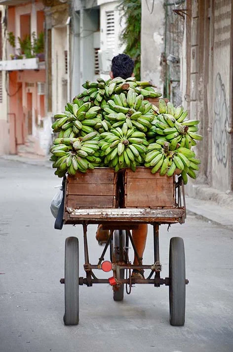 e banana seller.jpg