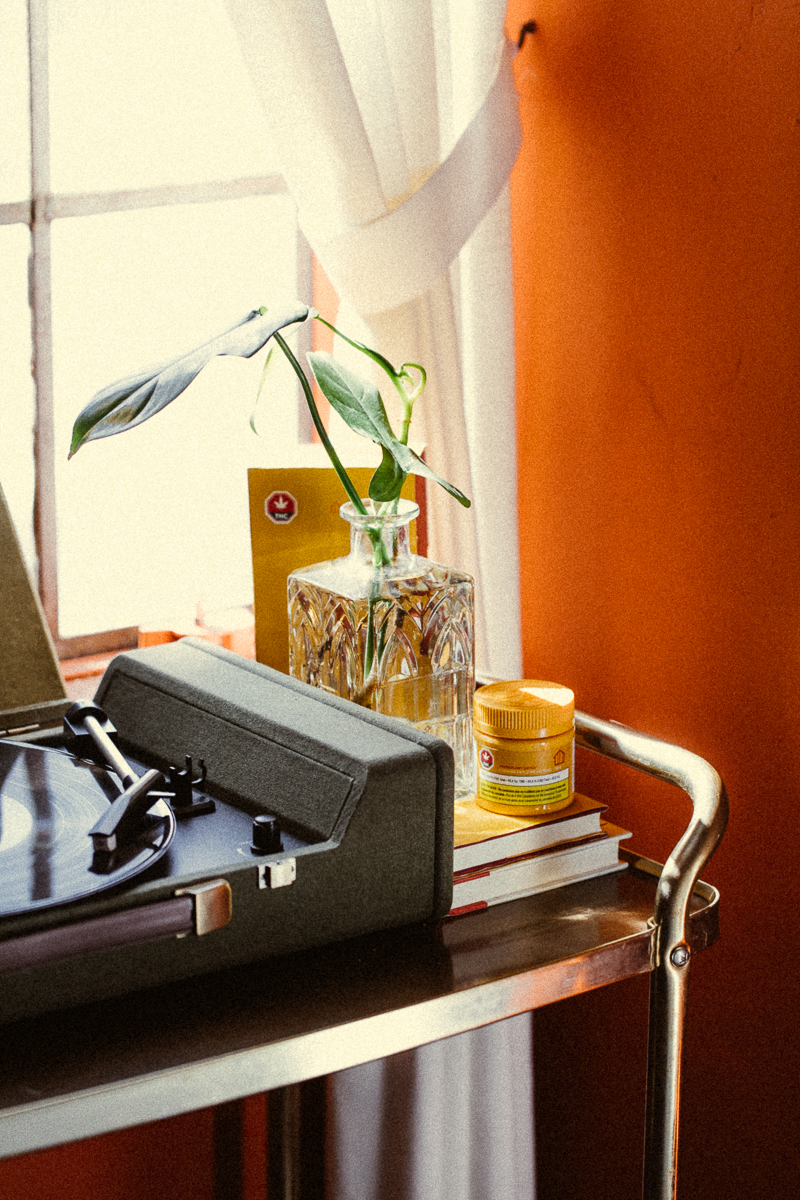 20190424_Houseplant_©AudreyMa-0055.jpg