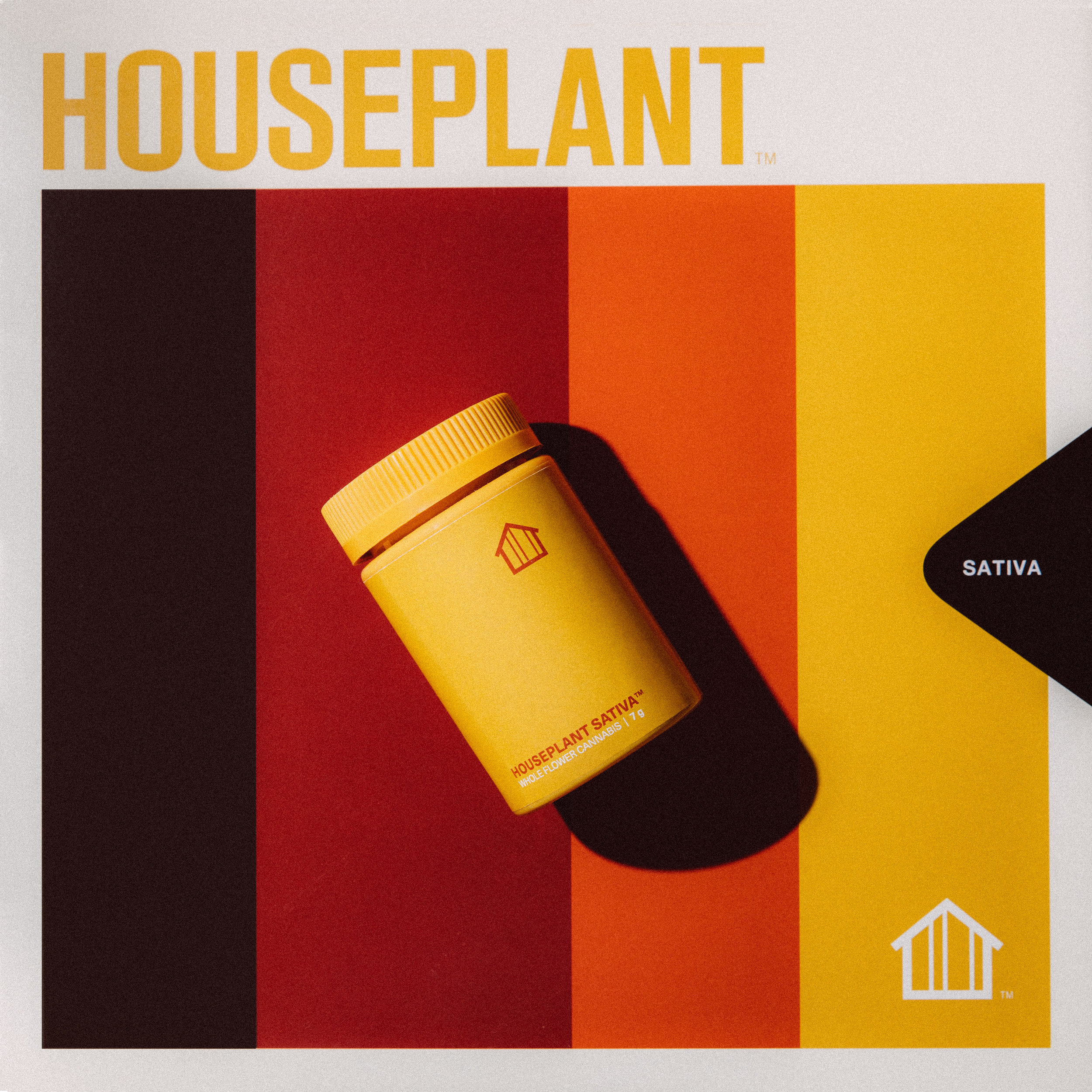 20190509_Houseplant_©AudreyMa-0258-Edit.jpg