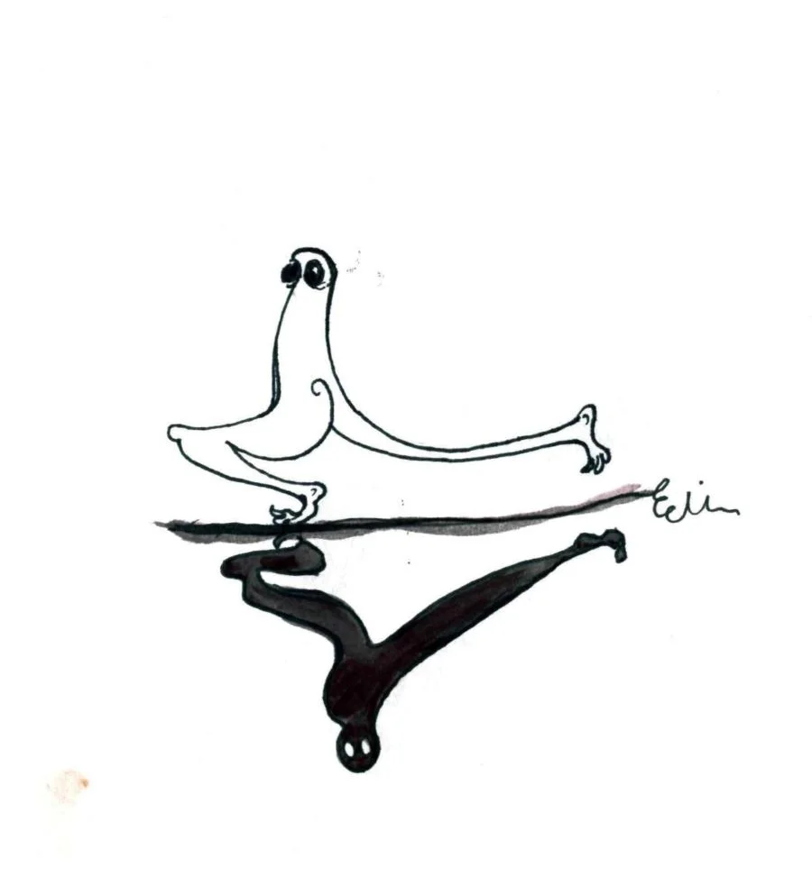 img8.jpg