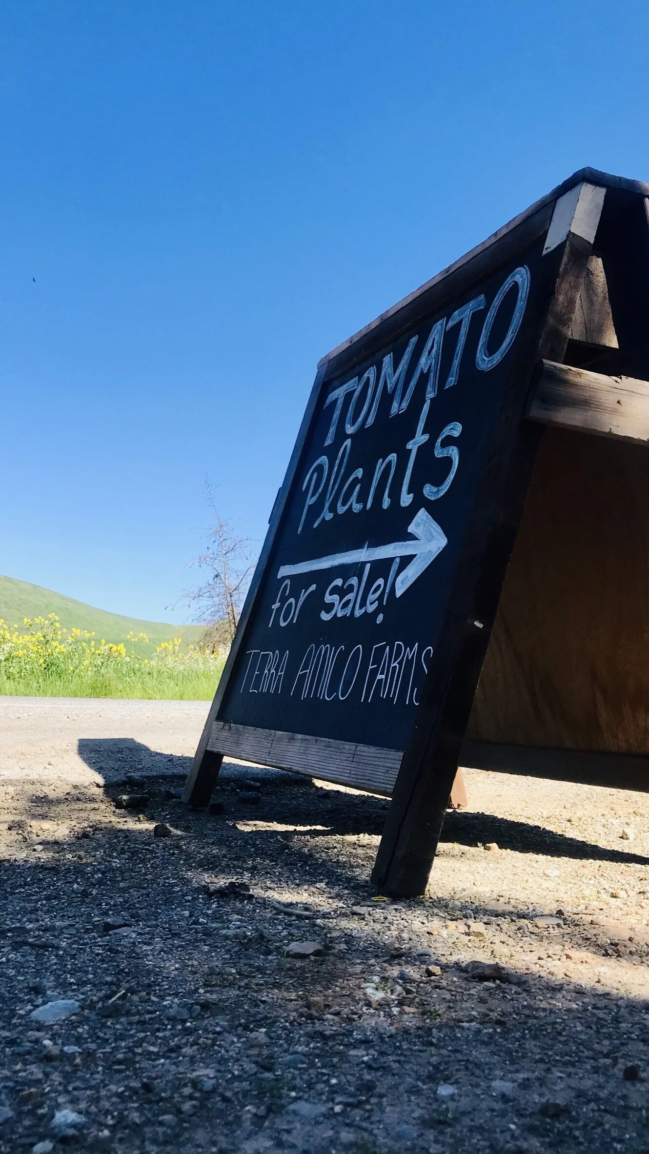 Cooking Demonstration at Terra Amico Farms | Picnic Foods