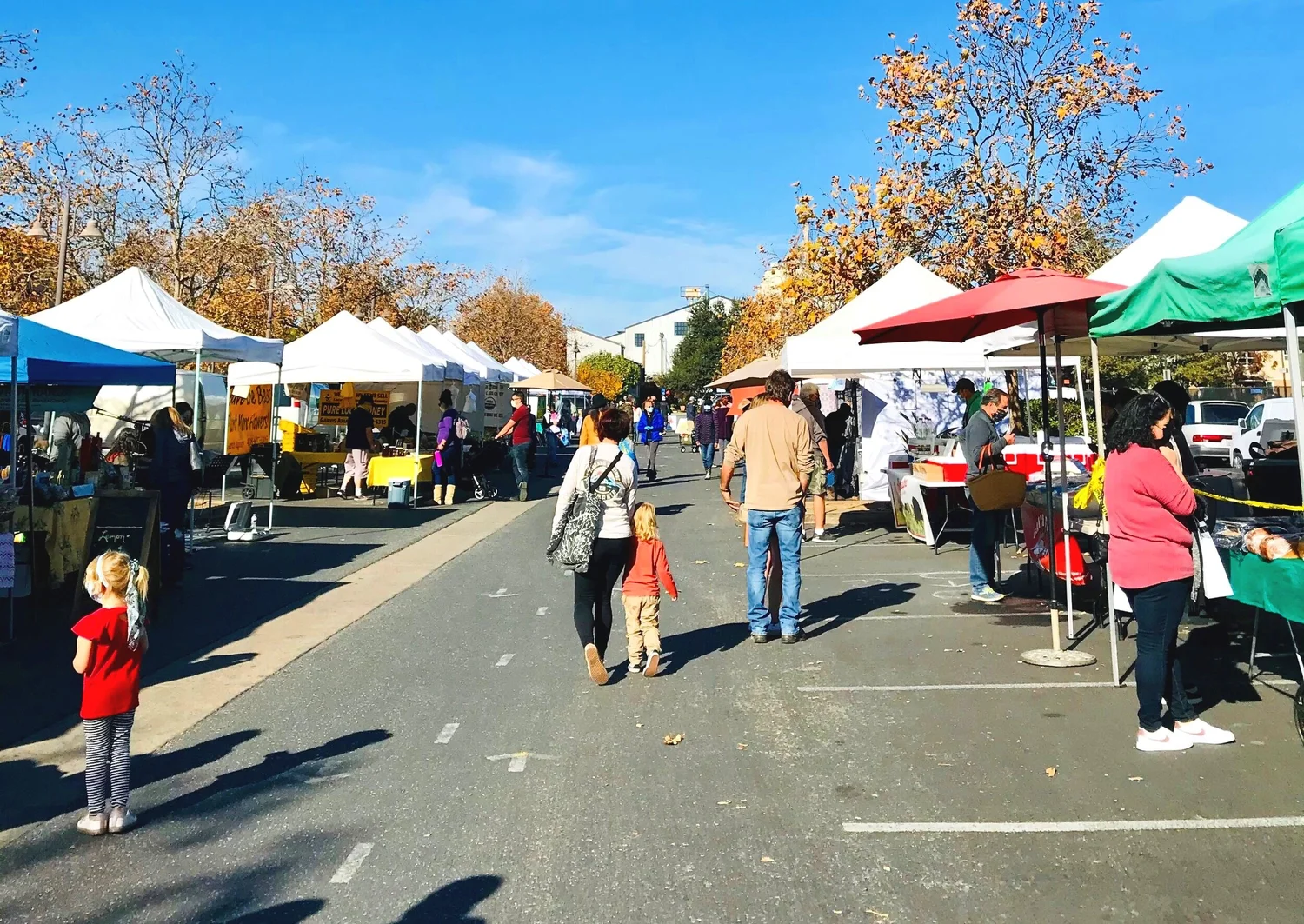 Summertime Farm Fun — Visit Morgan Hill
