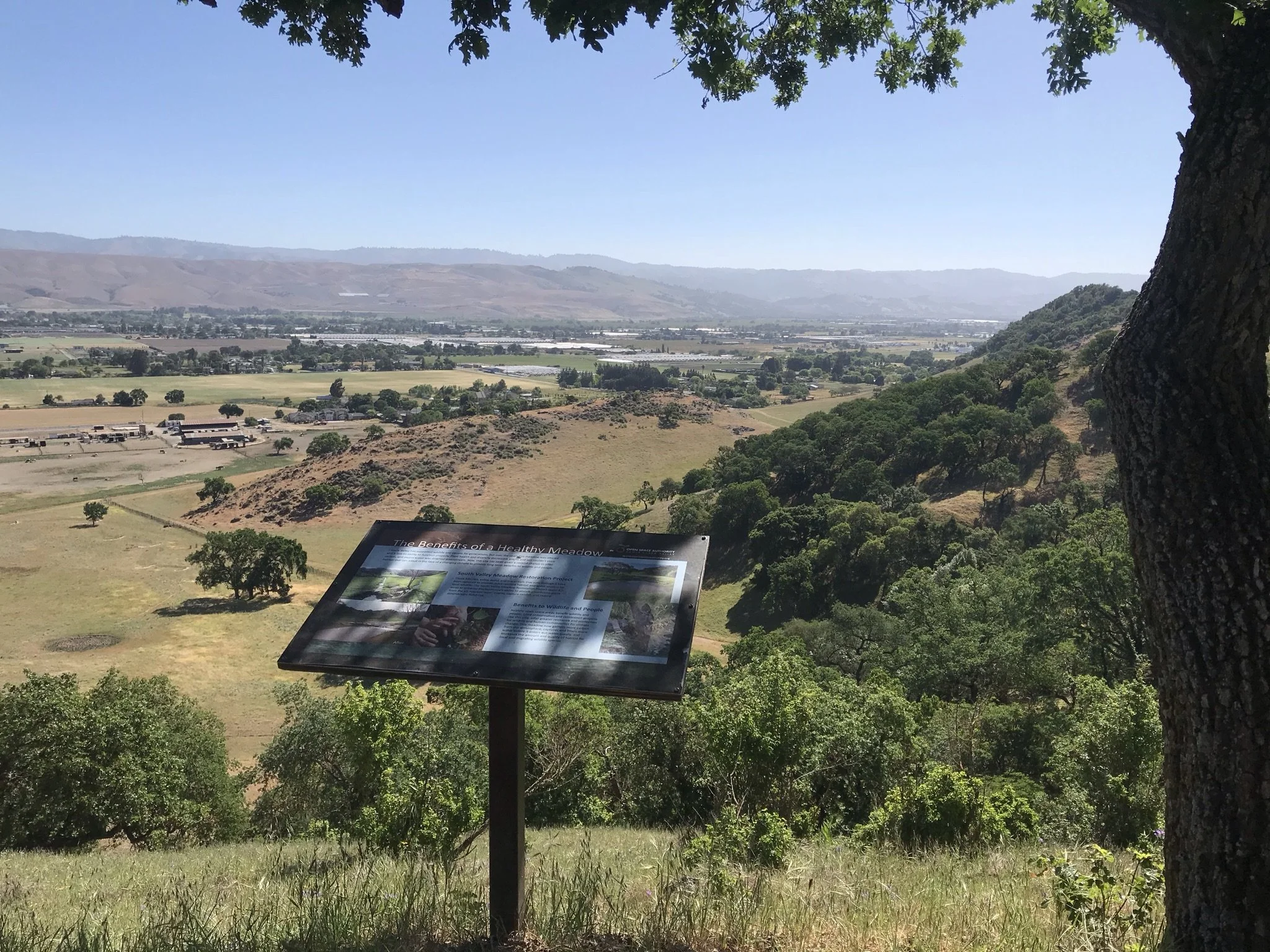 Pedal, Pack, or Hoof in Coyote Valley