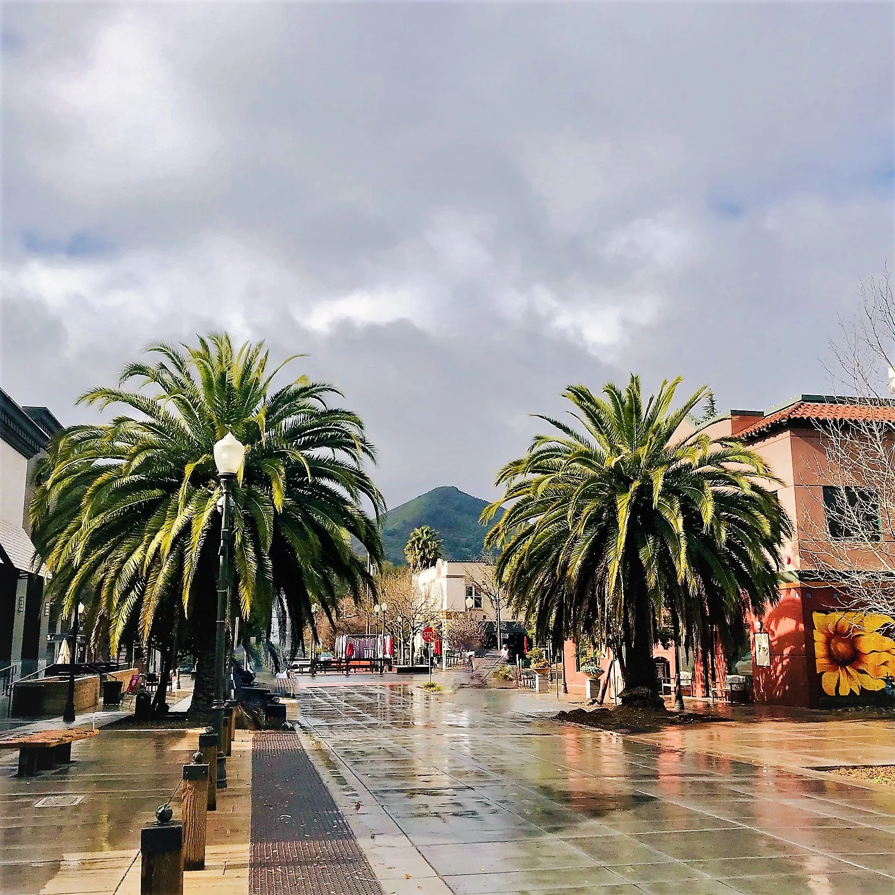 World Peace Day Monument Unveiling