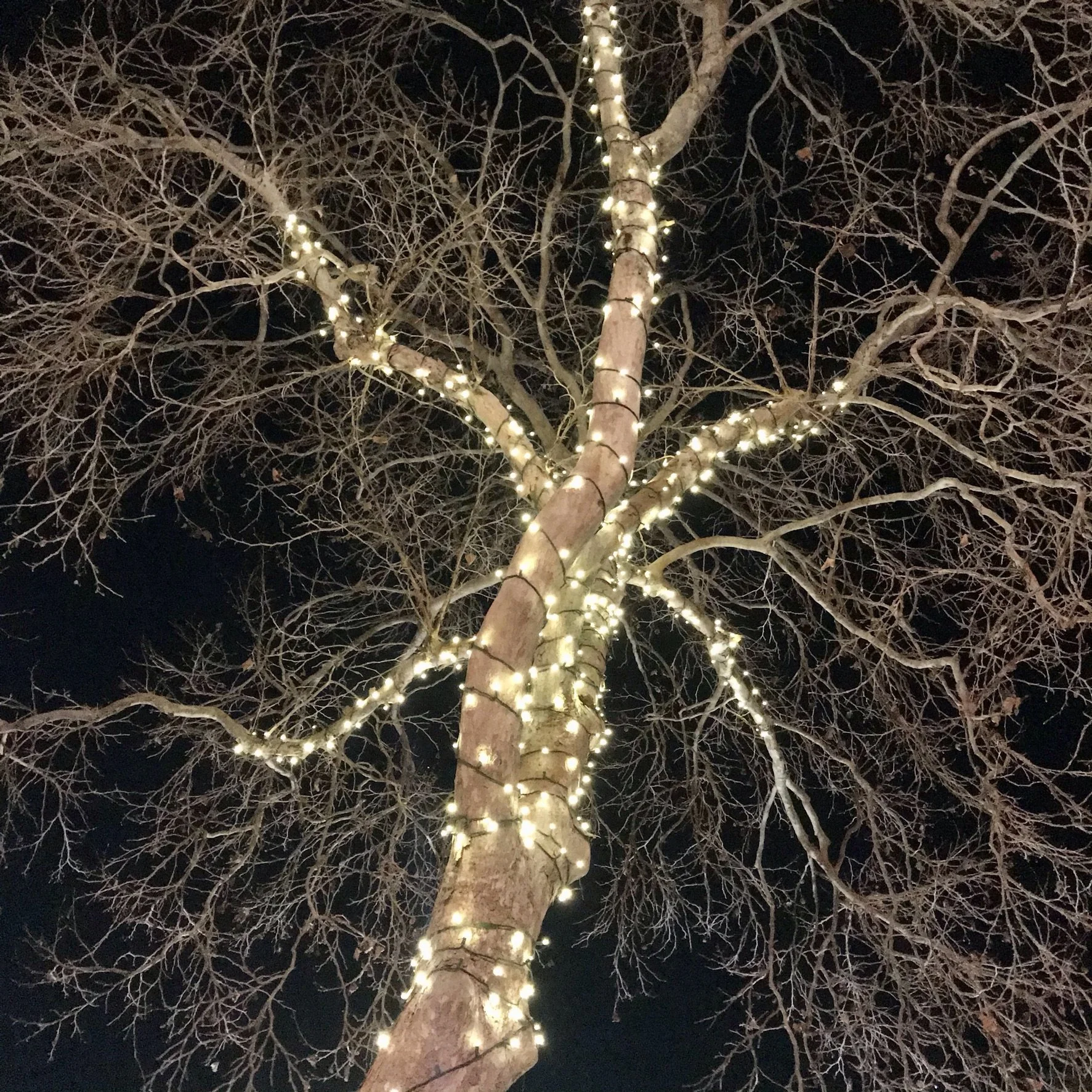 Caroling Downtown Morgan Hill