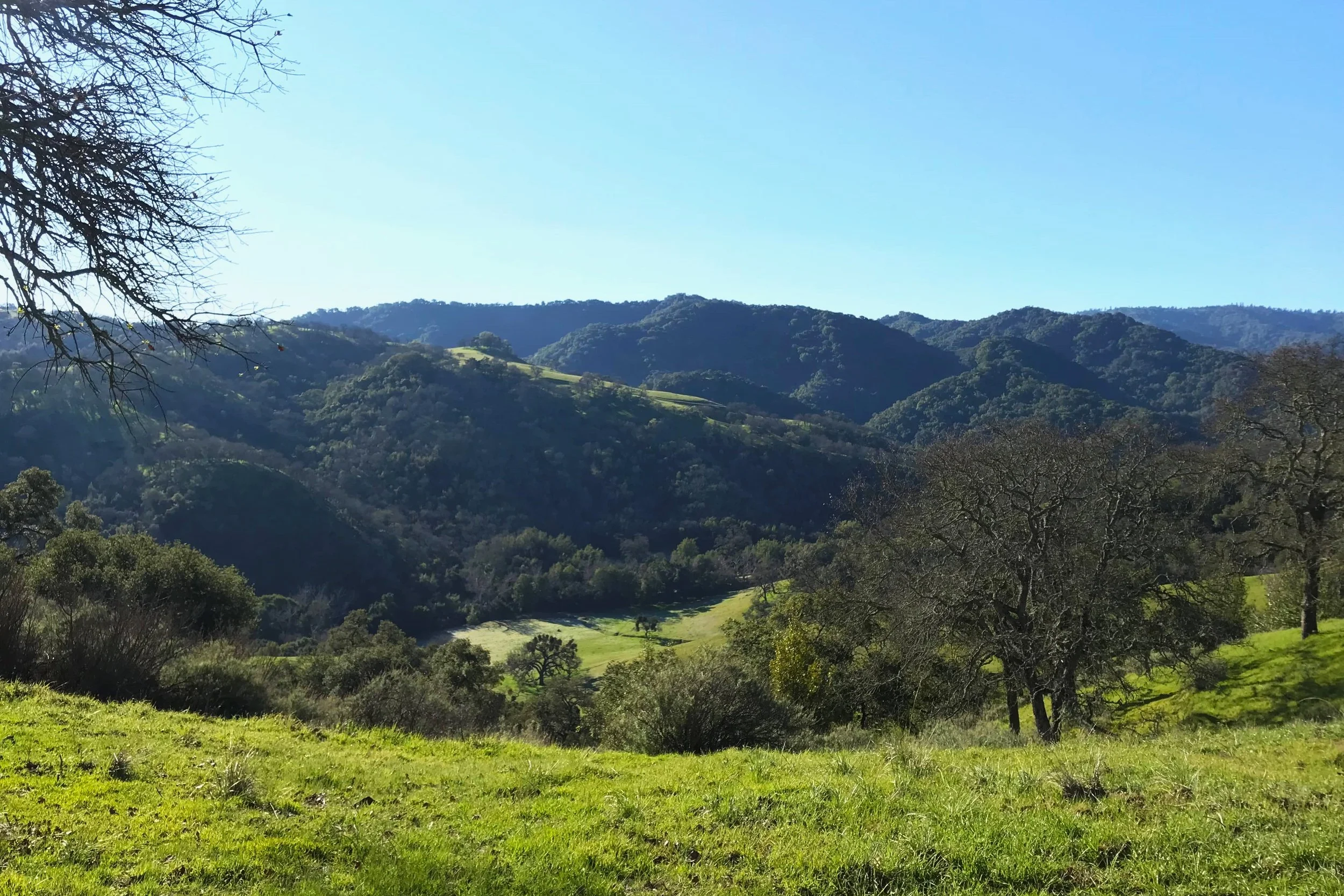 Hill Wineries — Visit Hill