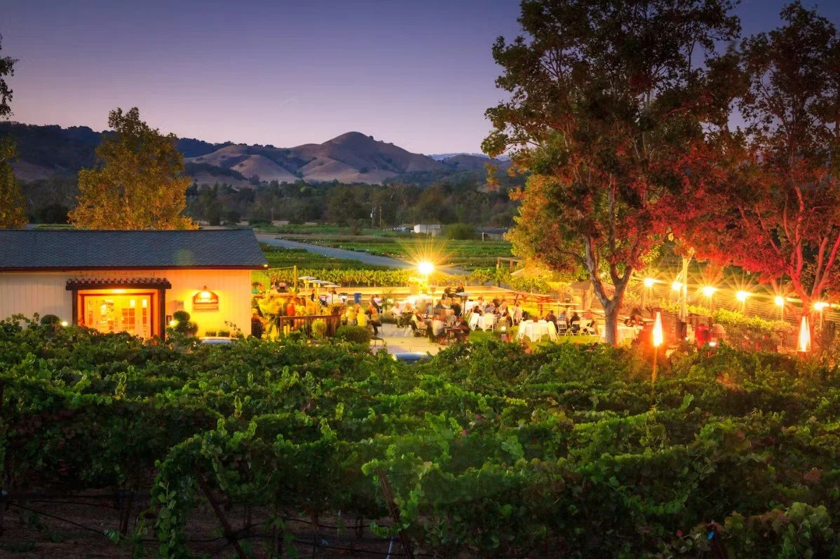 Sarah's Vineyard - Wine, Dine & Dance