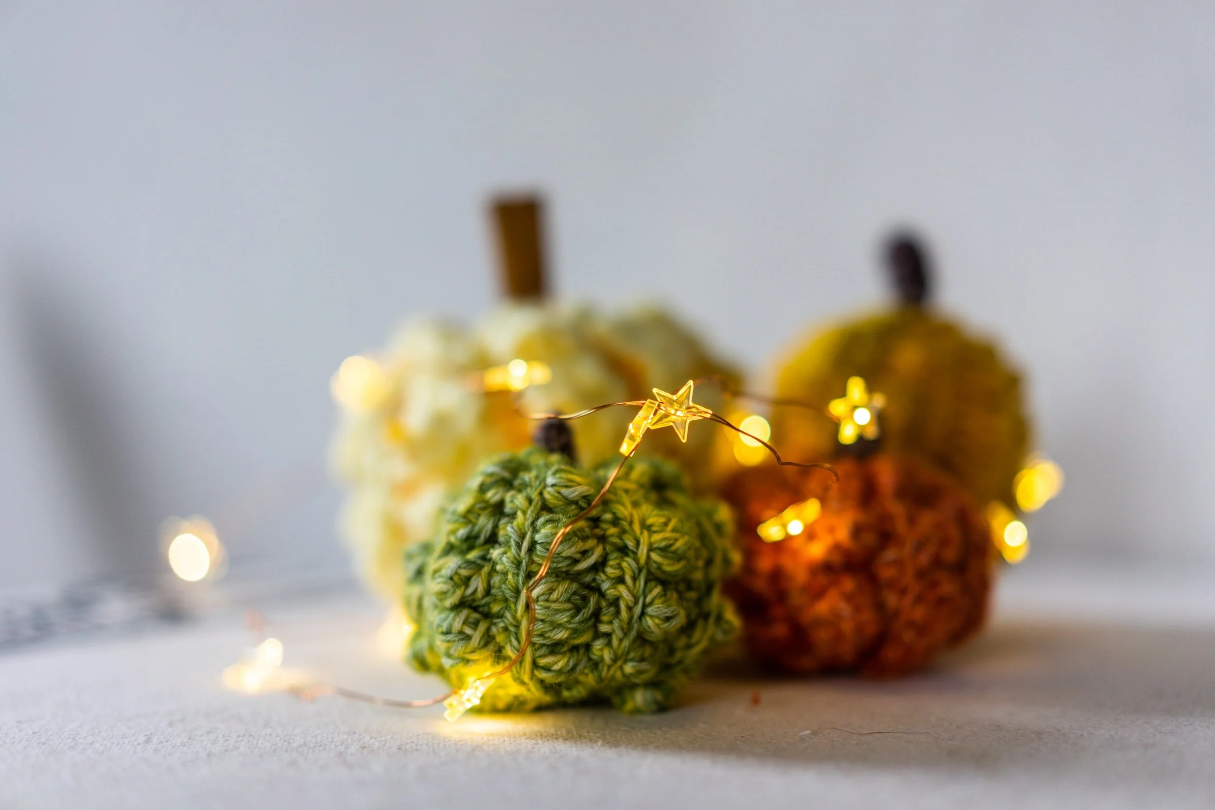 Chunky Knit Pumpkin with AR Workshop at LOCAL on Main