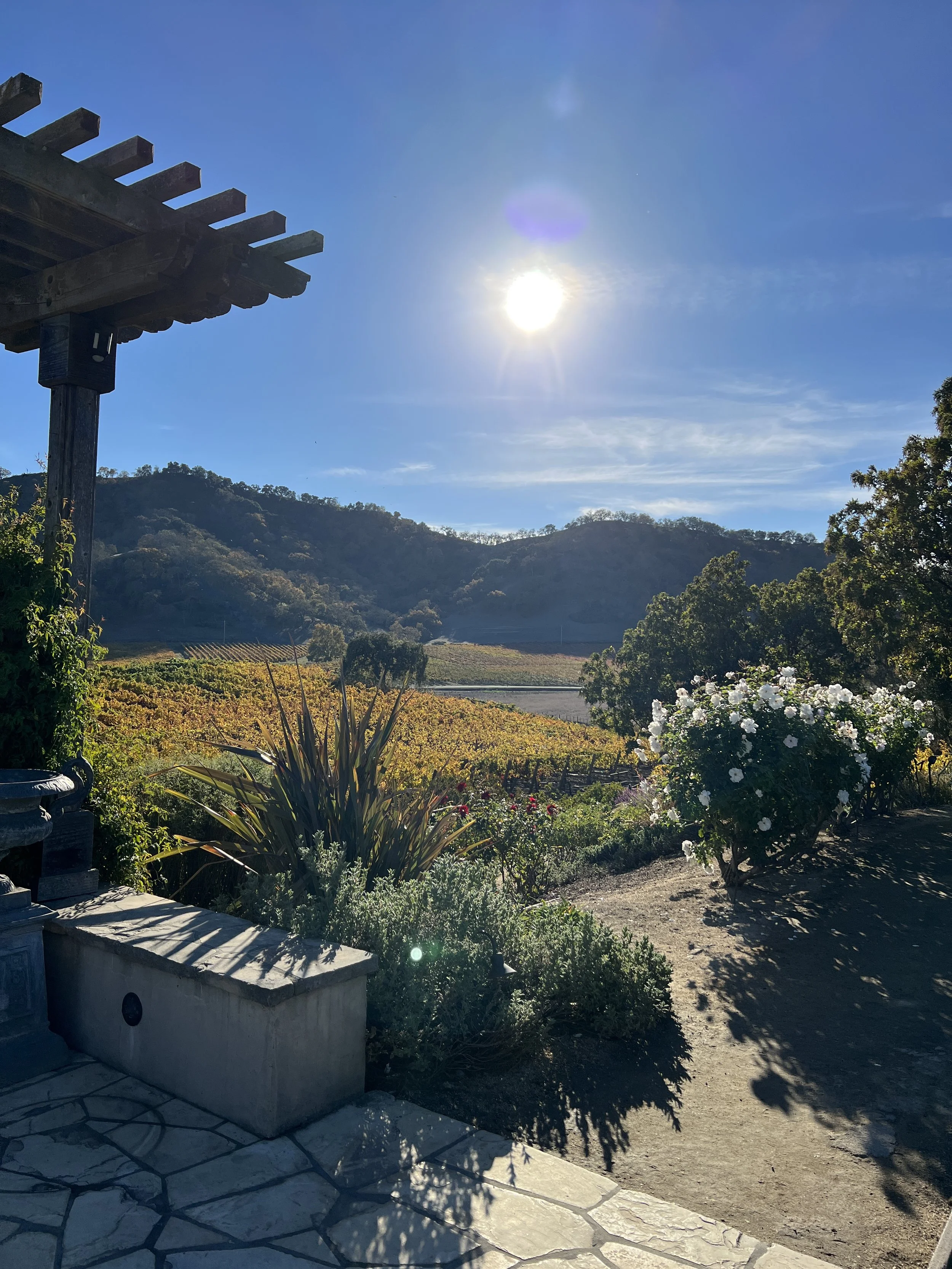 Clos La Chance Winery - Grape Harvest Dance Party and Tamale Bar