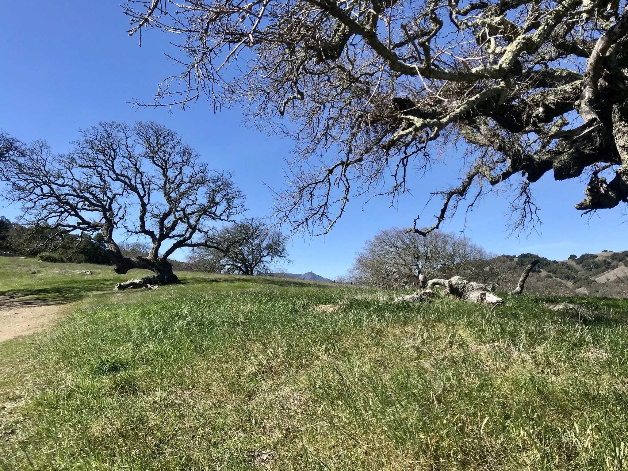 Leap Year Guided Hike at Rancho Cañada del Oro