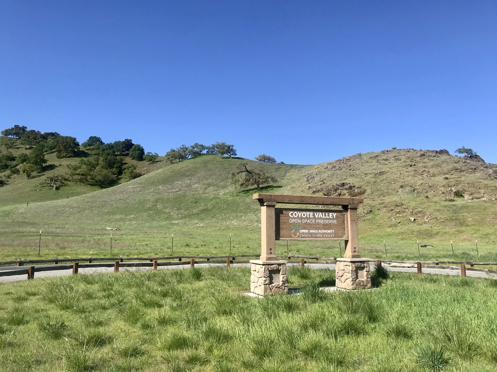 Picture This! Dawn Photo Hike at Coyote Valley Open Space Preserve