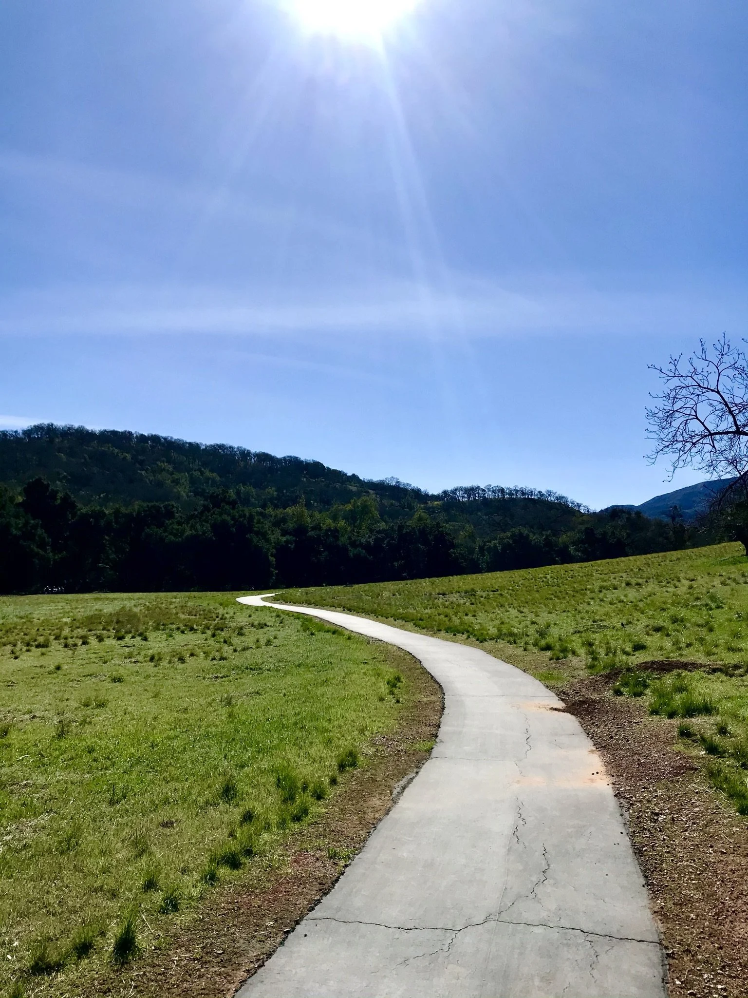Hike Your Pie Off with No Worries Amigo Hiking Club