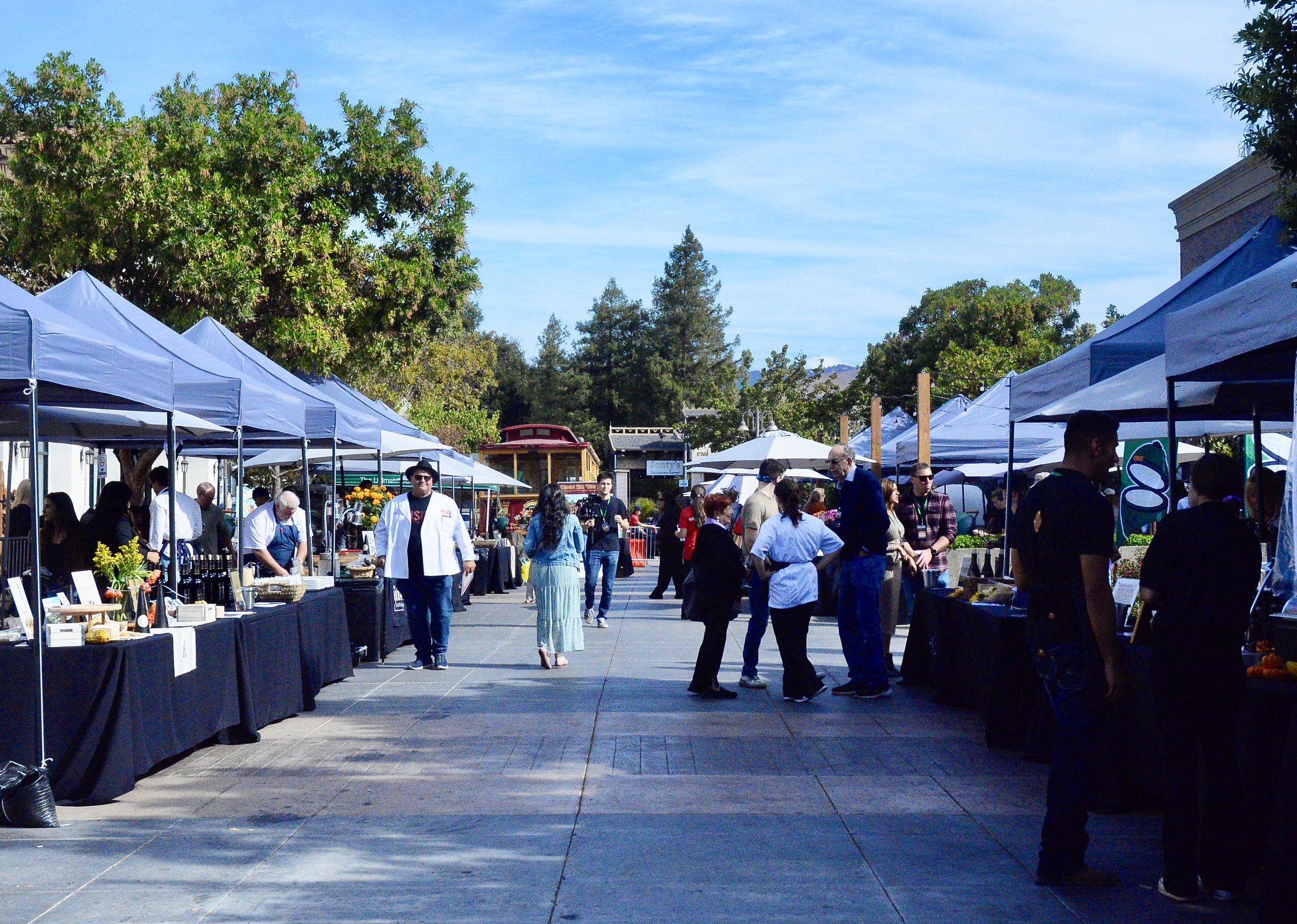 MOHI Food &amp; Wine Festival