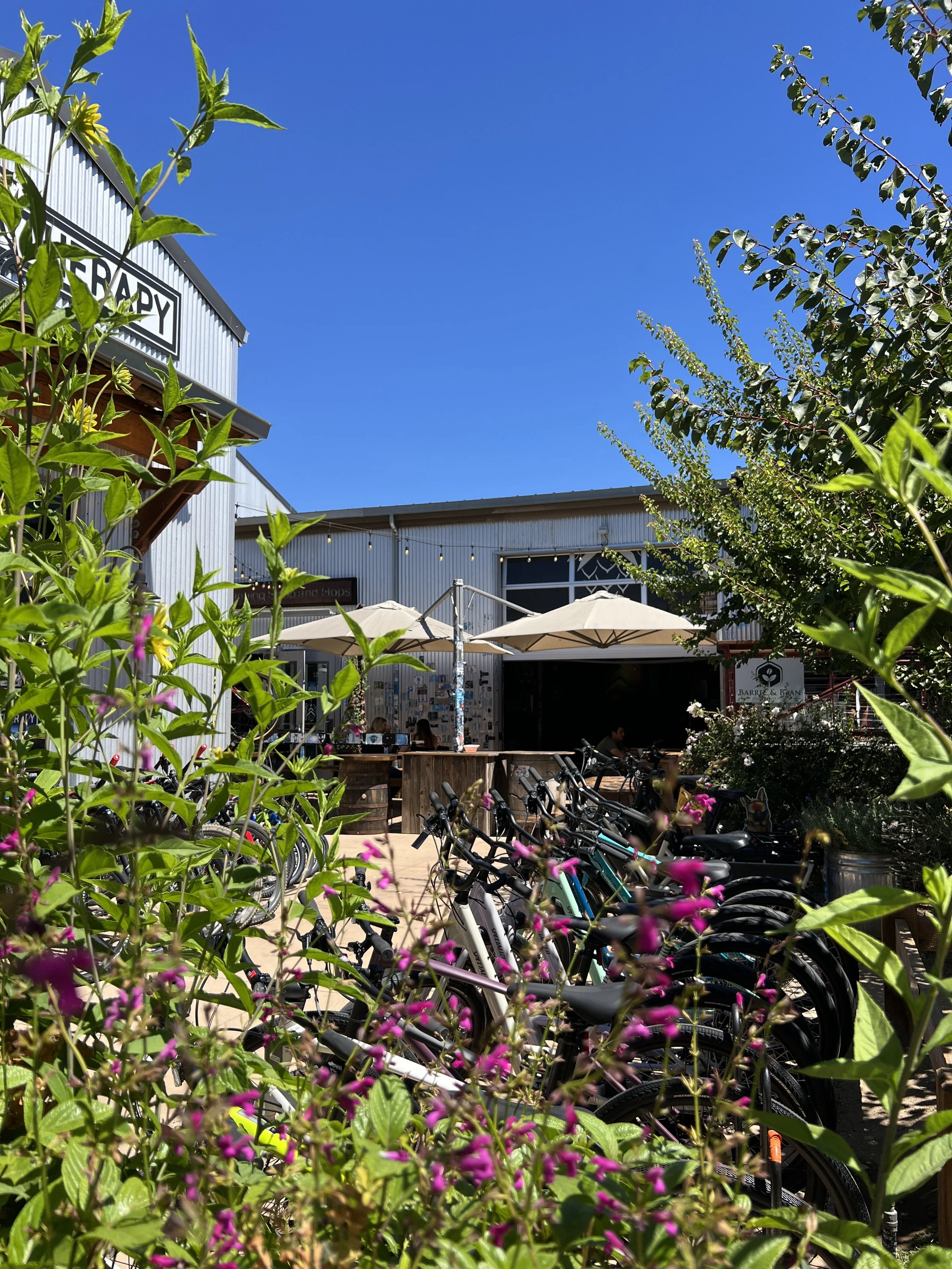 The Garden &amp; The Fruit Trees - Granary 20th Anniversary Series