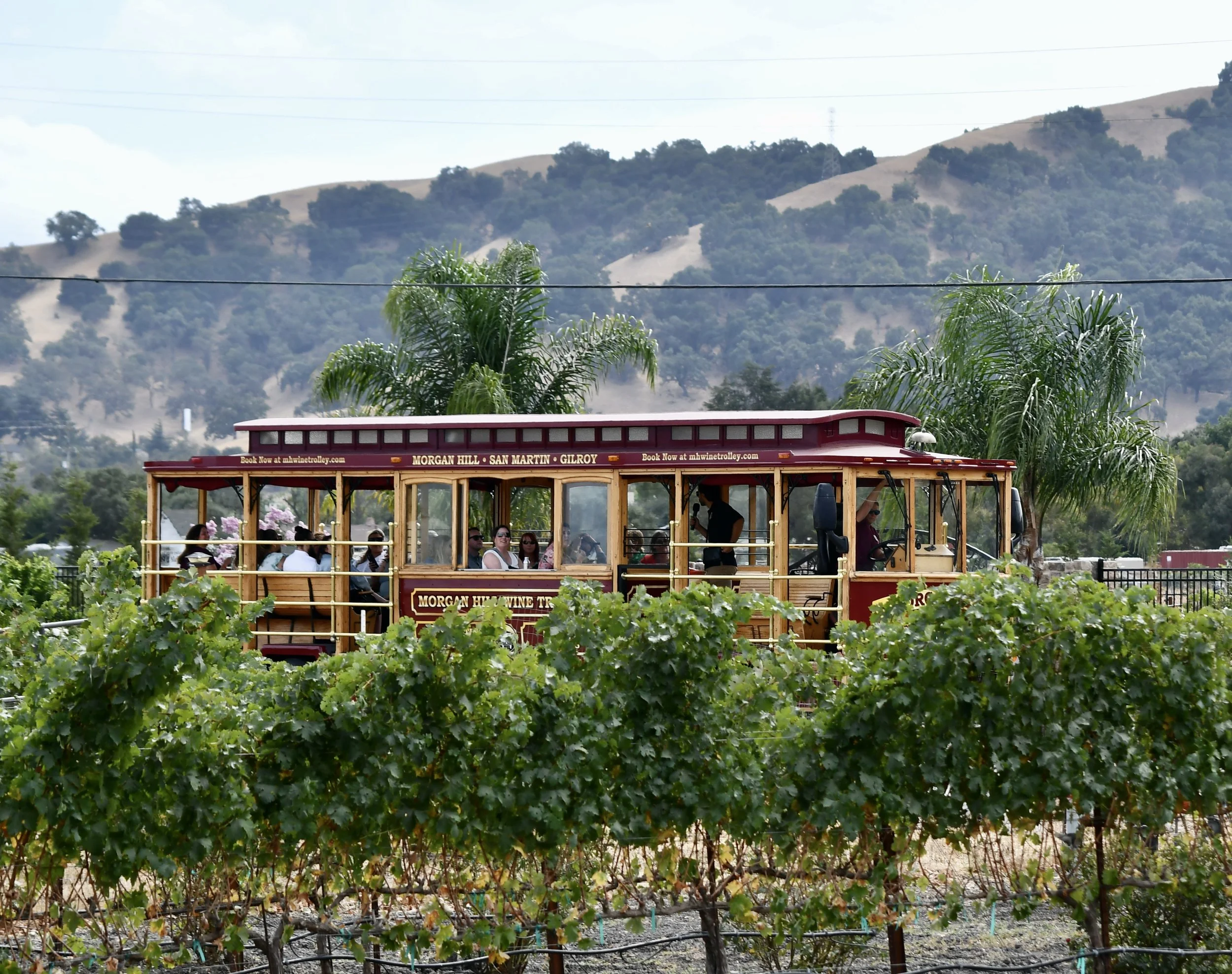Easter Sunday Funday Wine Trolley Tour
