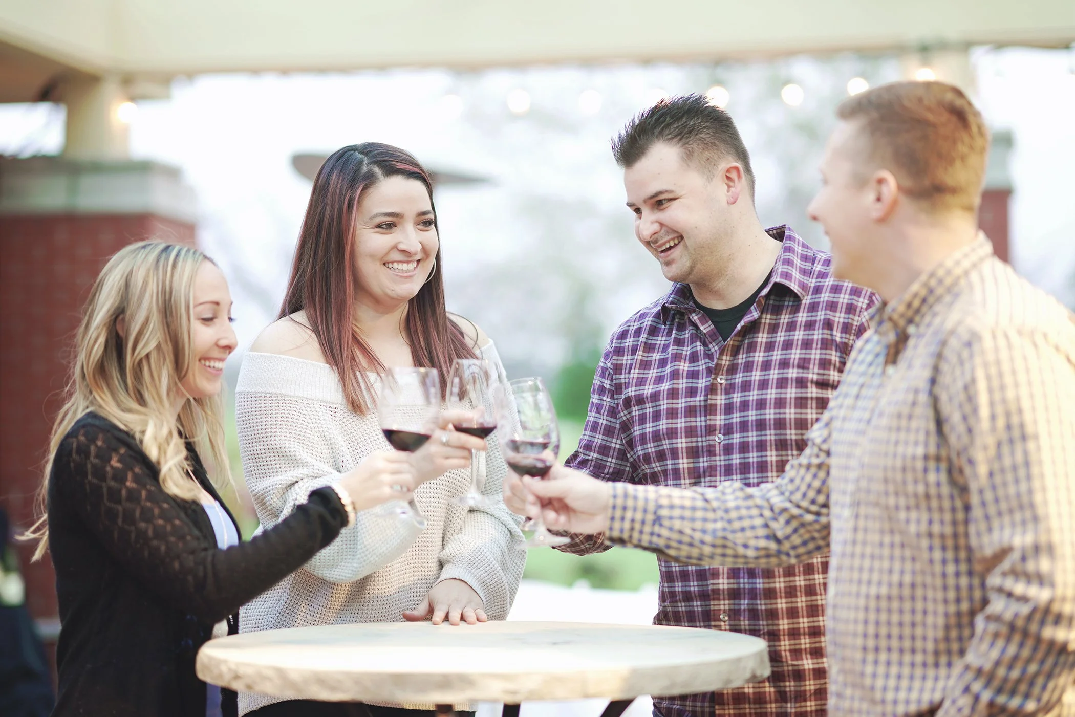 Vine to Wine - Wineries of Santa Clara Valley