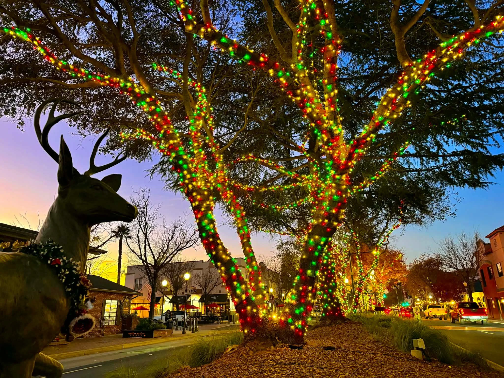 Fall-Winter Travel News 📰