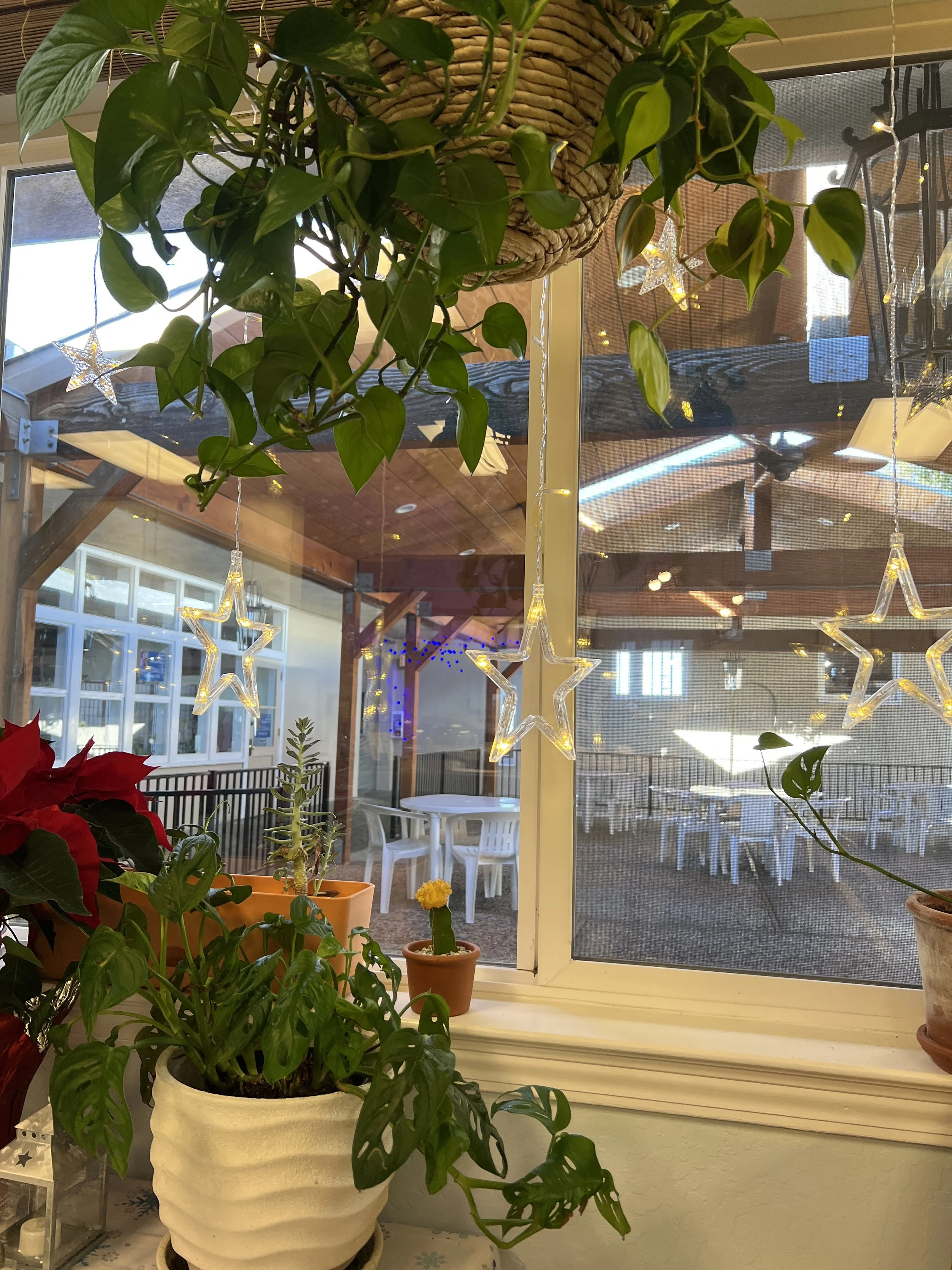 'California Style' Afternoon Tea