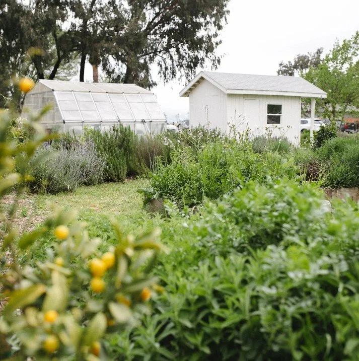 Walk the Farm. Sip the Season. 