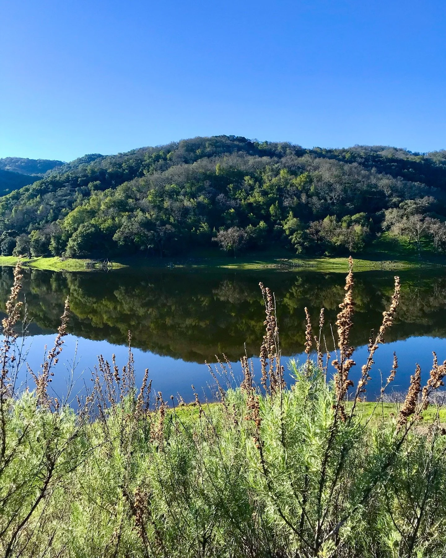 6 Parks to Visit Before the Chill Sets In 🍂

Fall is one of the best times to get outdoors in Morgan Hill. The temps are still warm, the trails are quieter, and you don&rsquo;t have to go far to feel a world away.

Where to wander:
💧 Chesebro Reser