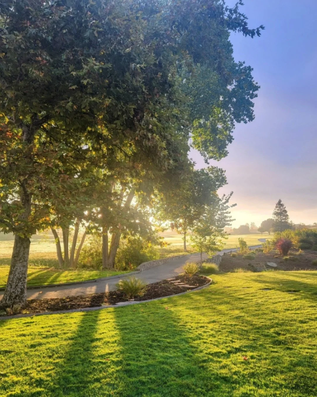 Just said yes? 💍✨ Let Morgan Hill be the backdrop to your special day.

Here, vineyards roll into warm California hills, estates open their doors with easy elegance, and ranches and golf clubs offer sunlit, picture-perfect places to celebrate. It&rs