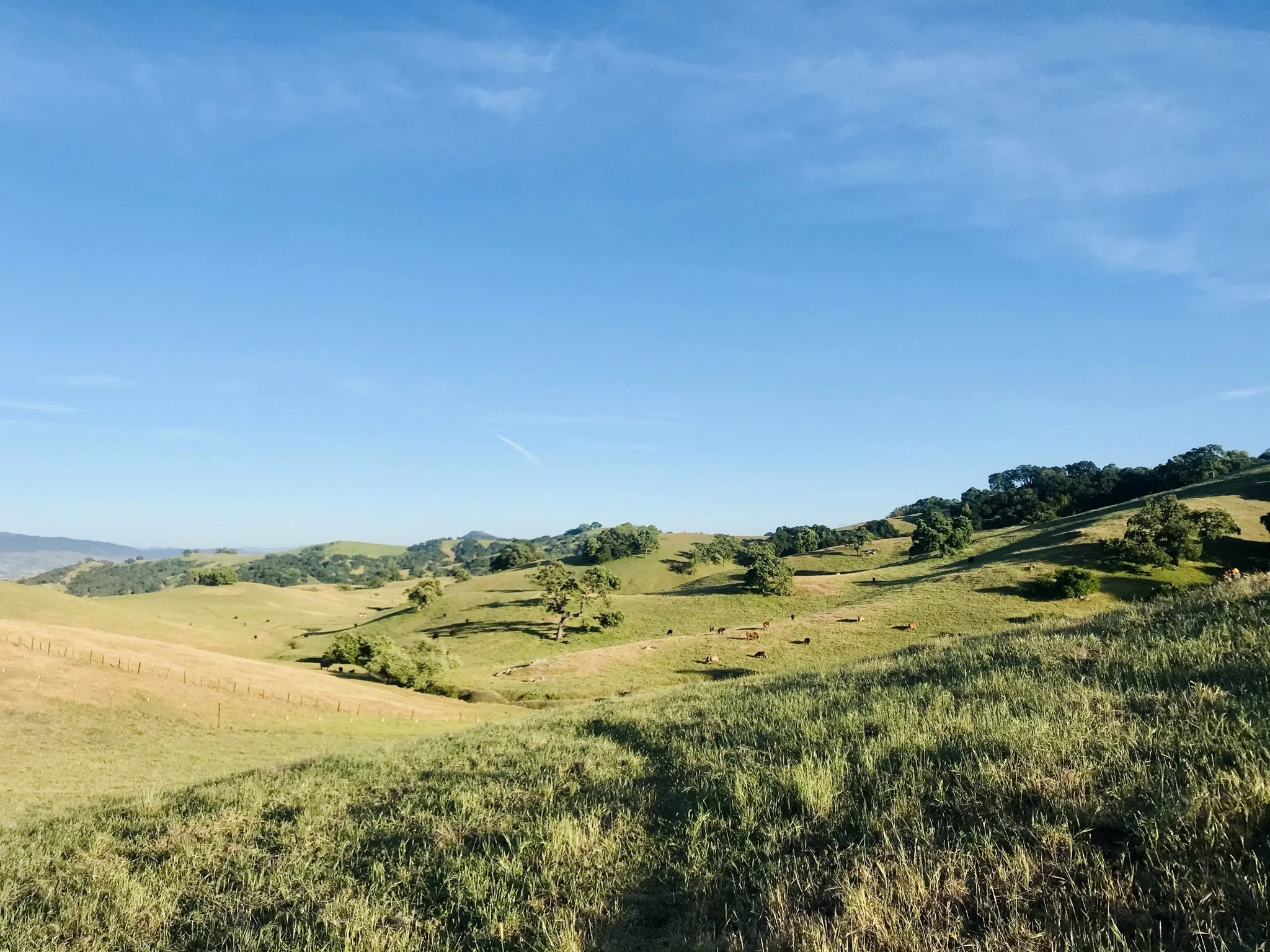 Play &amp; Recharge in Morgan Hill