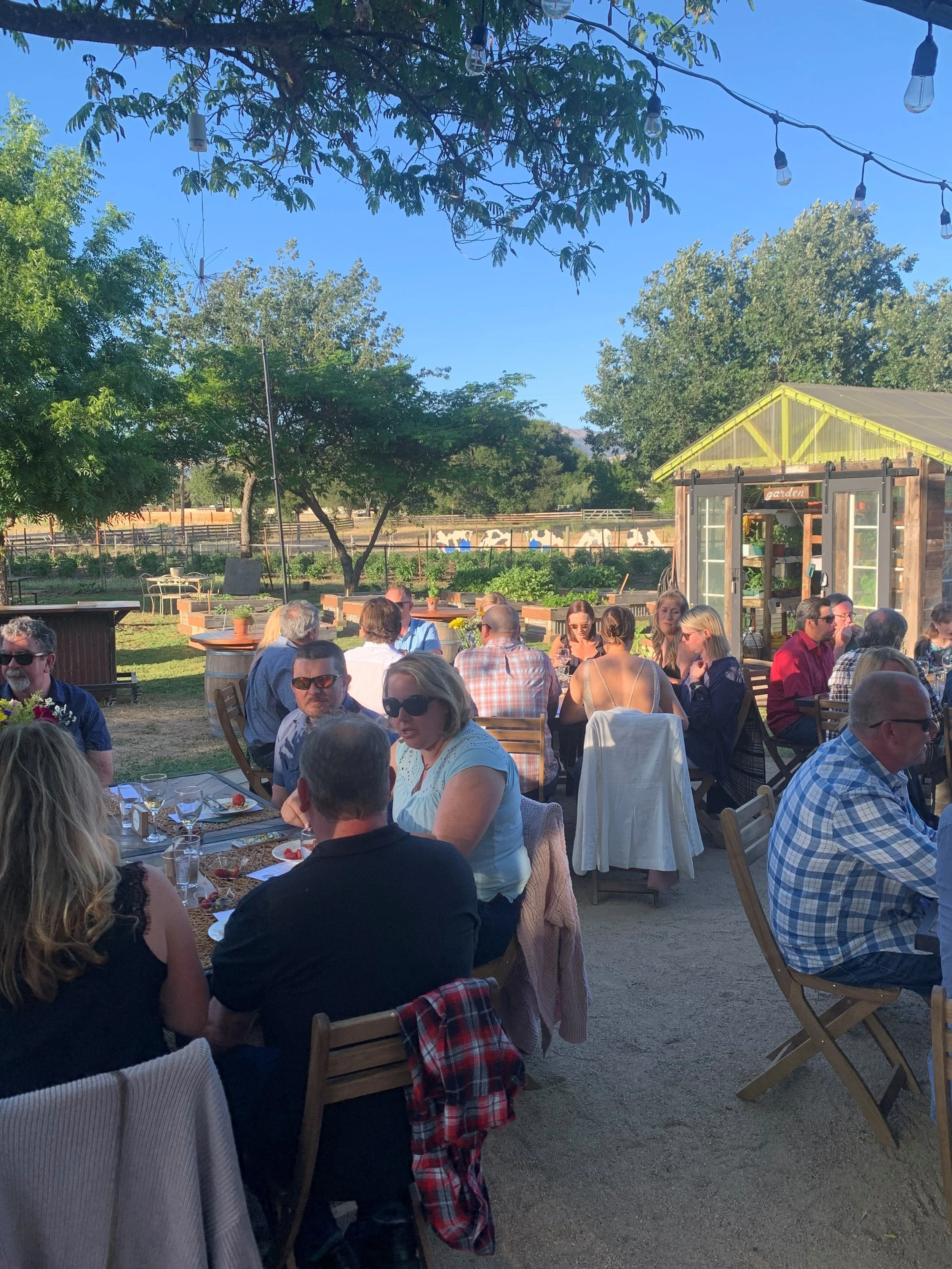 Farm To Table Dinner with Sushi Randy at Terra Amico