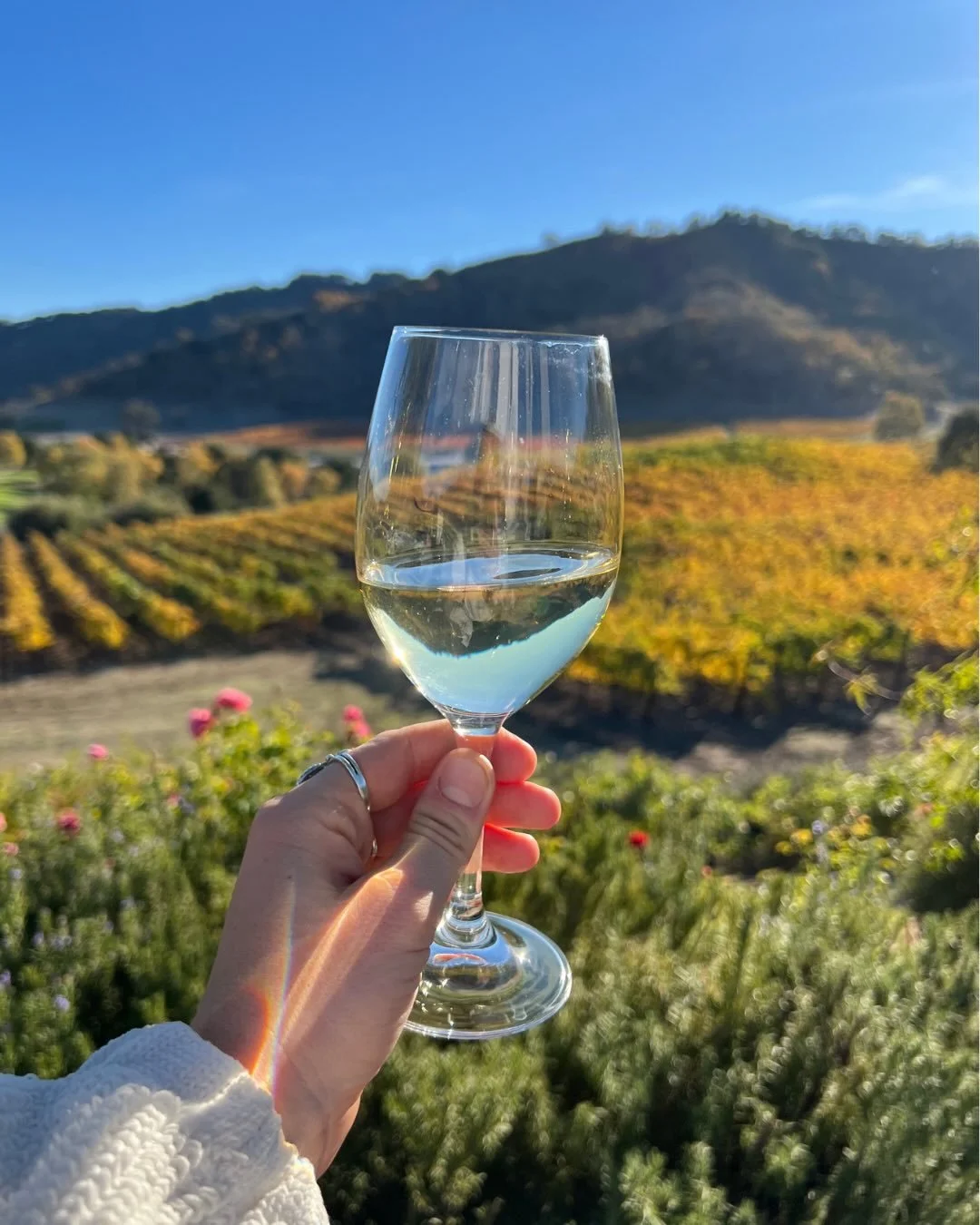 Not all wine country feels the same, and that&rsquo;s kind of the point.

In Morgan Hill, you can keep it casual with a backyard tasting, settle into something scenic, or dress it up a bit for a full afternoon out. However you like to spend it, there