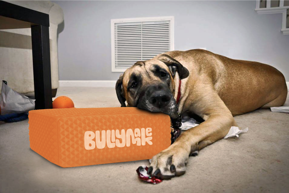 dogbox-511.jpg
