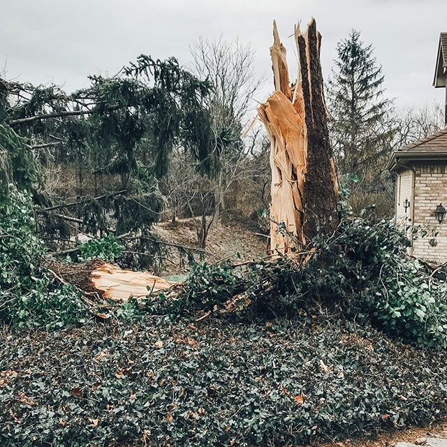 Spring and Summer are right around the corner! That also means so are the storms! ⛈💨🌩
.
.
Although we hope storm damage never happens to you, don&rsquo;t forget RLC can do a cleanup much more effectively and conveniently than most tree companies. ☀