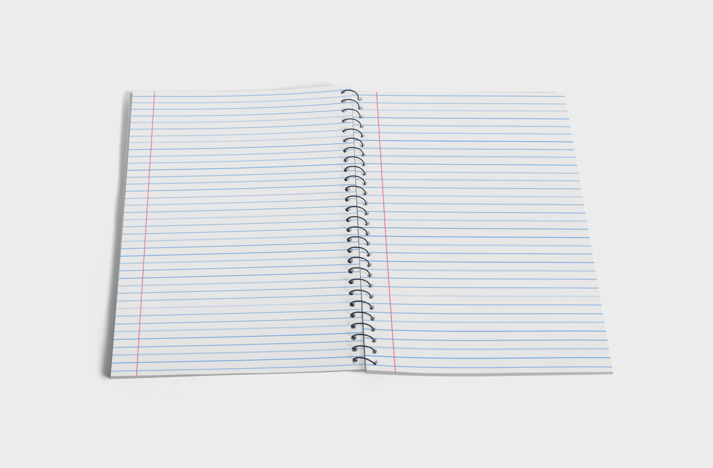 open notebook pages.png