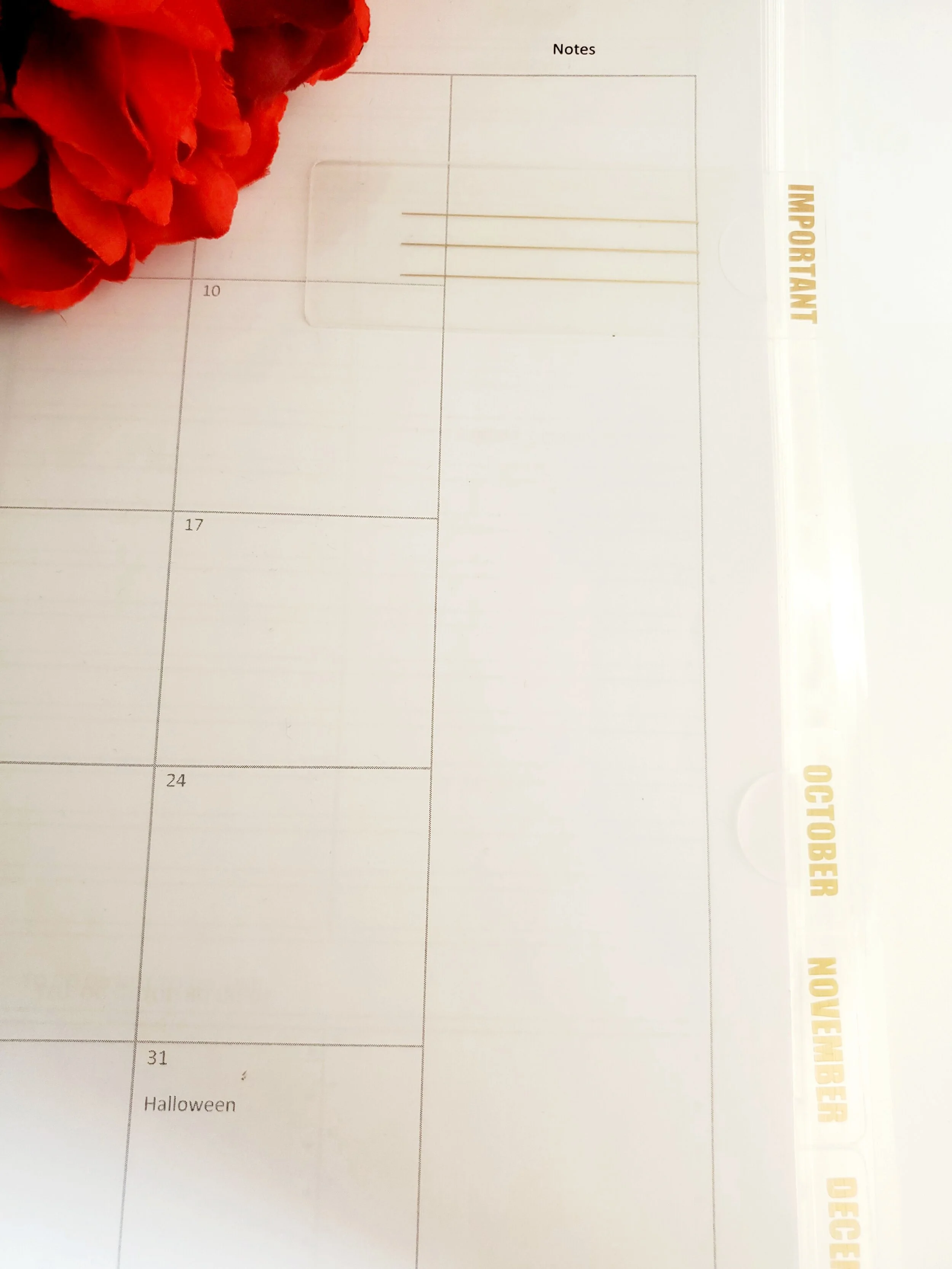 20201009_154944.jpg