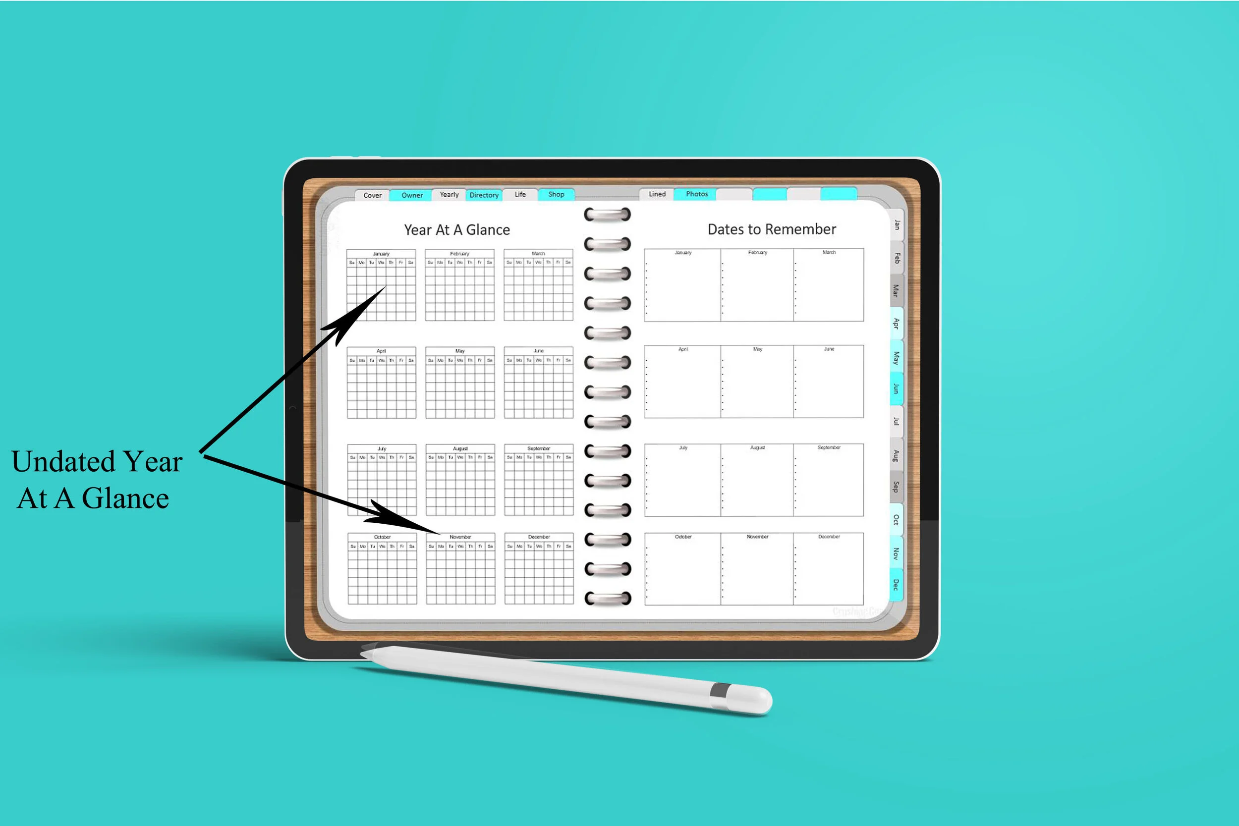 Life Planner Year at A Glance.jpg