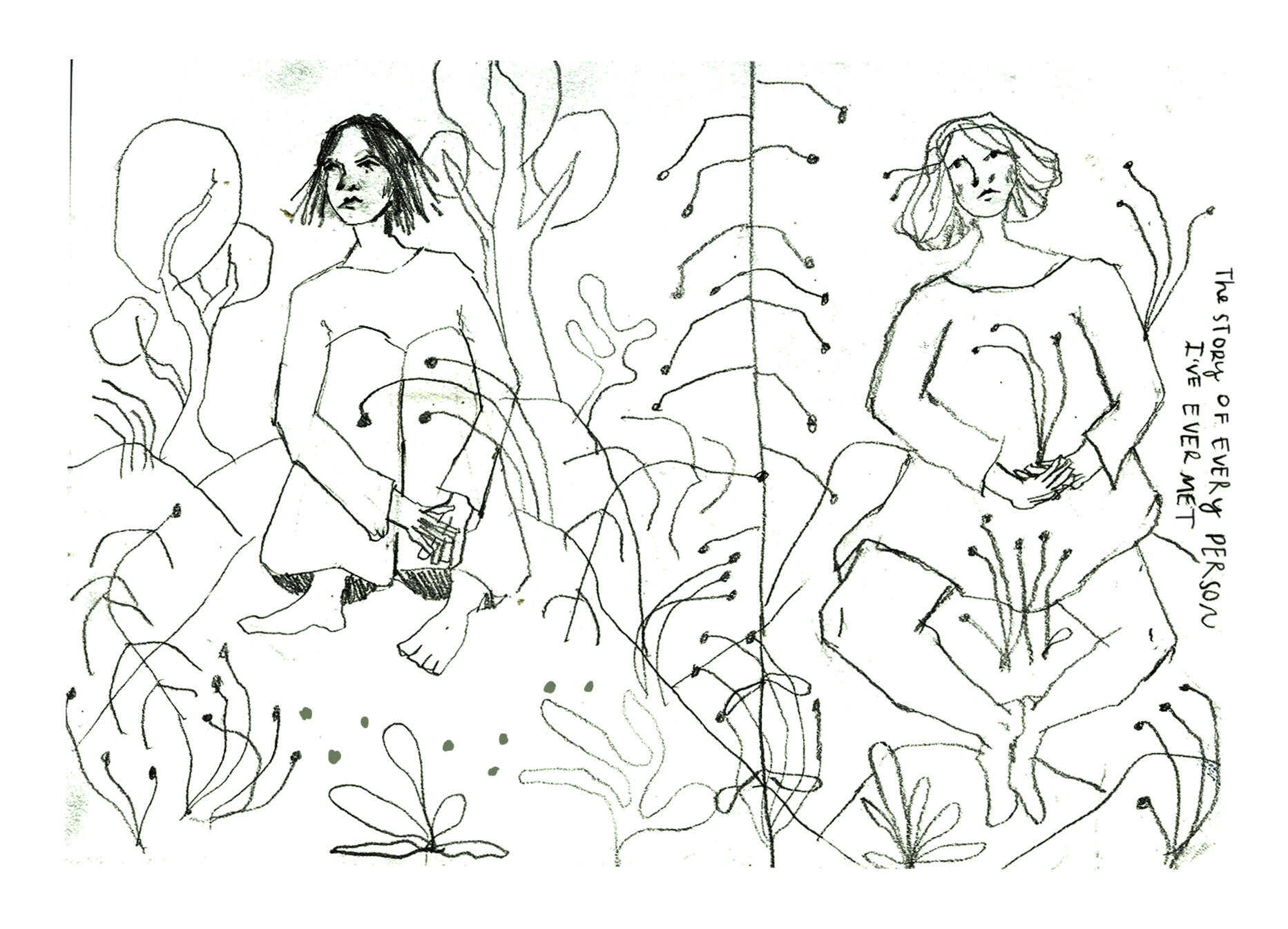 the story of everyone .jpg