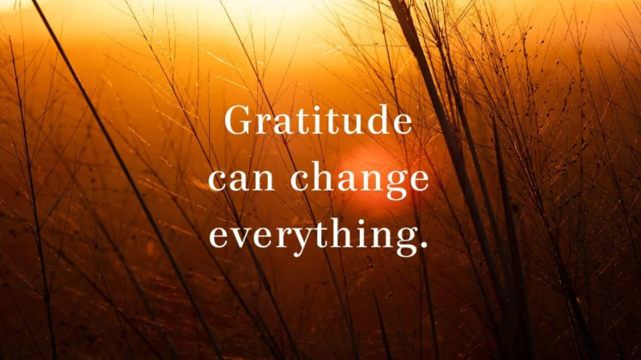 The Gratitude Café