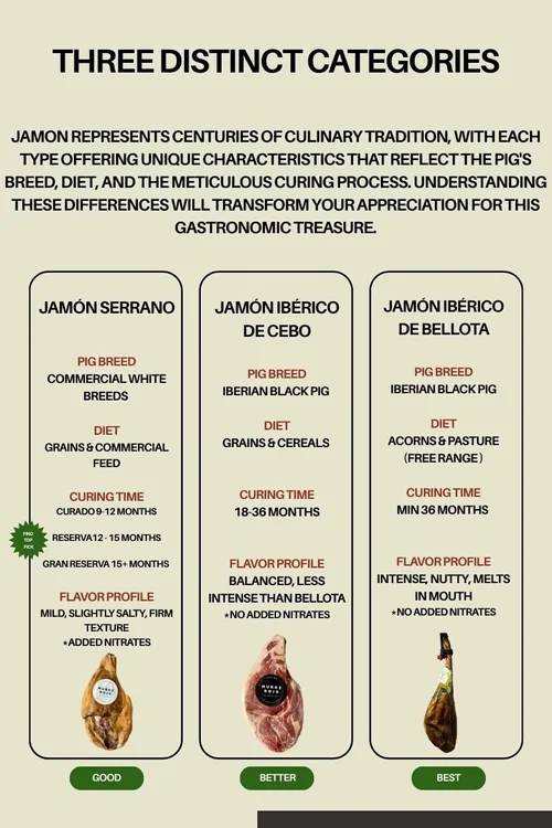 A Complete Guide to Jamón — Fino Foods