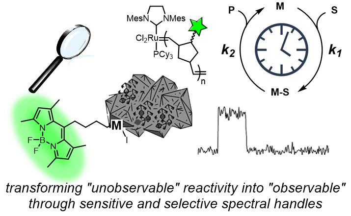 TOC Account Image.PNG